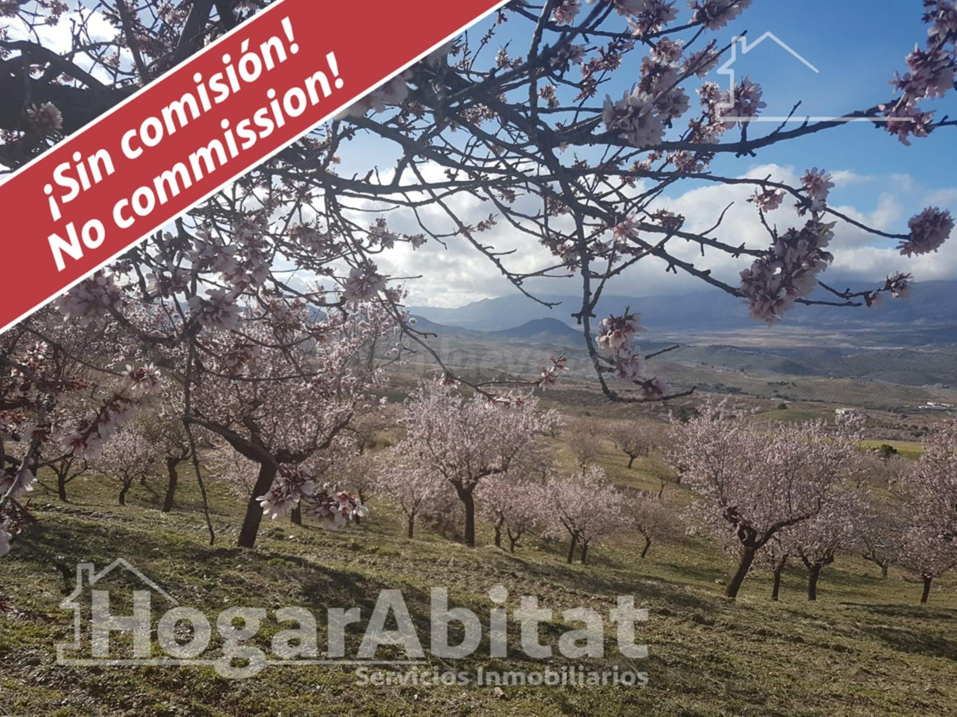 Naturaleza, privacidad y gran producción agrícola en esta singular finca rústica con cortijo tradicional en Vélez-Rubio