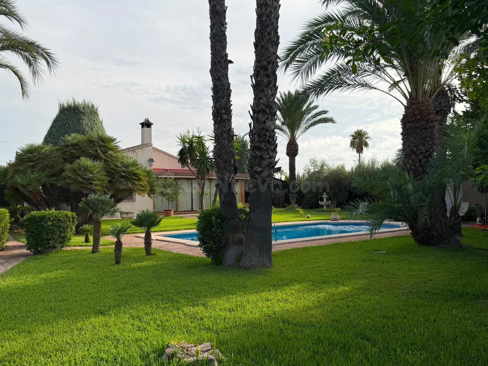 Alquiler Chalet con piscina en alquiler en Elche, zona Valverde.