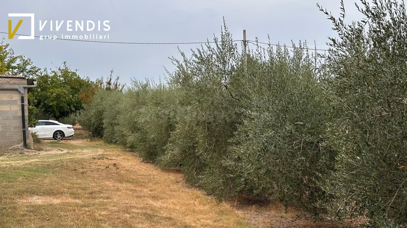 TERRENO EN VENTA - PARTIDA CANET - foto 4