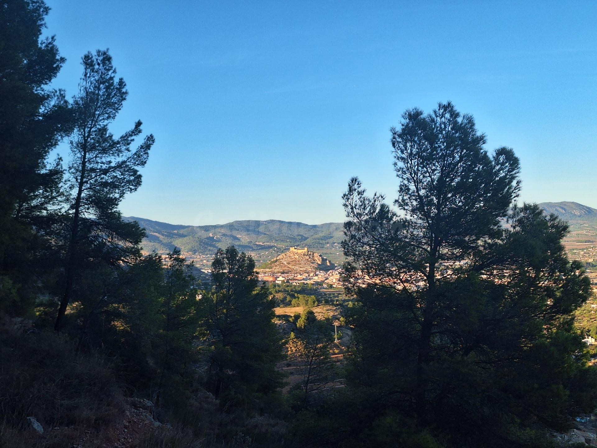 FINCA RÚSTICA FORESTAL EN VENTA CON VISTAS PANORAMICAS · CASTALLA (ALICANTE)