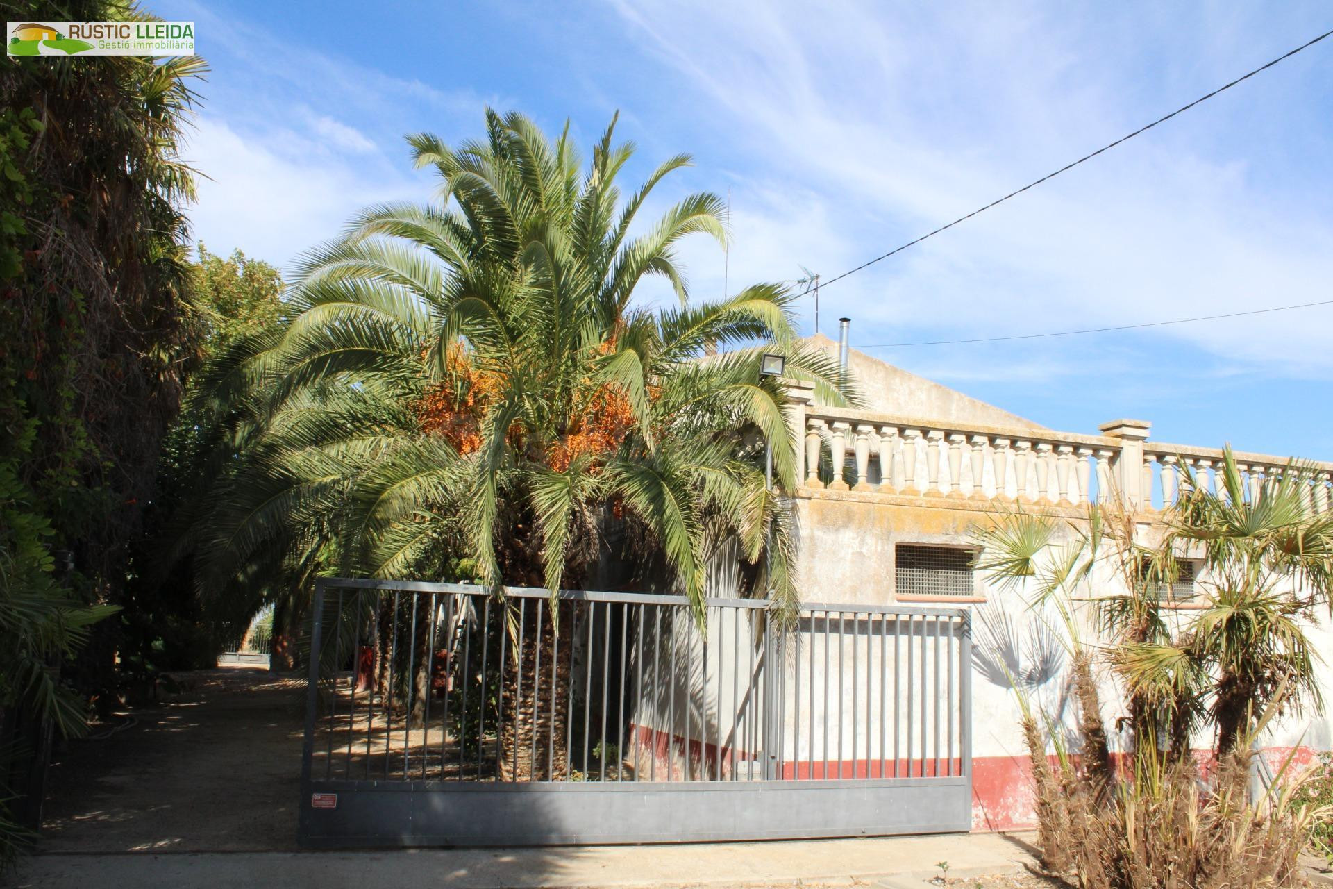 Masía con 18.000 m2 de terreno y amplios almacenes en Penell - foto 2