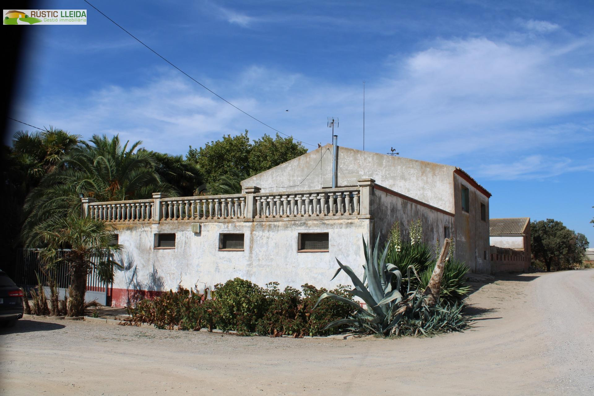 Masía con 18.000 m2 de terreno y amplios almacenes en Penell - foto 3