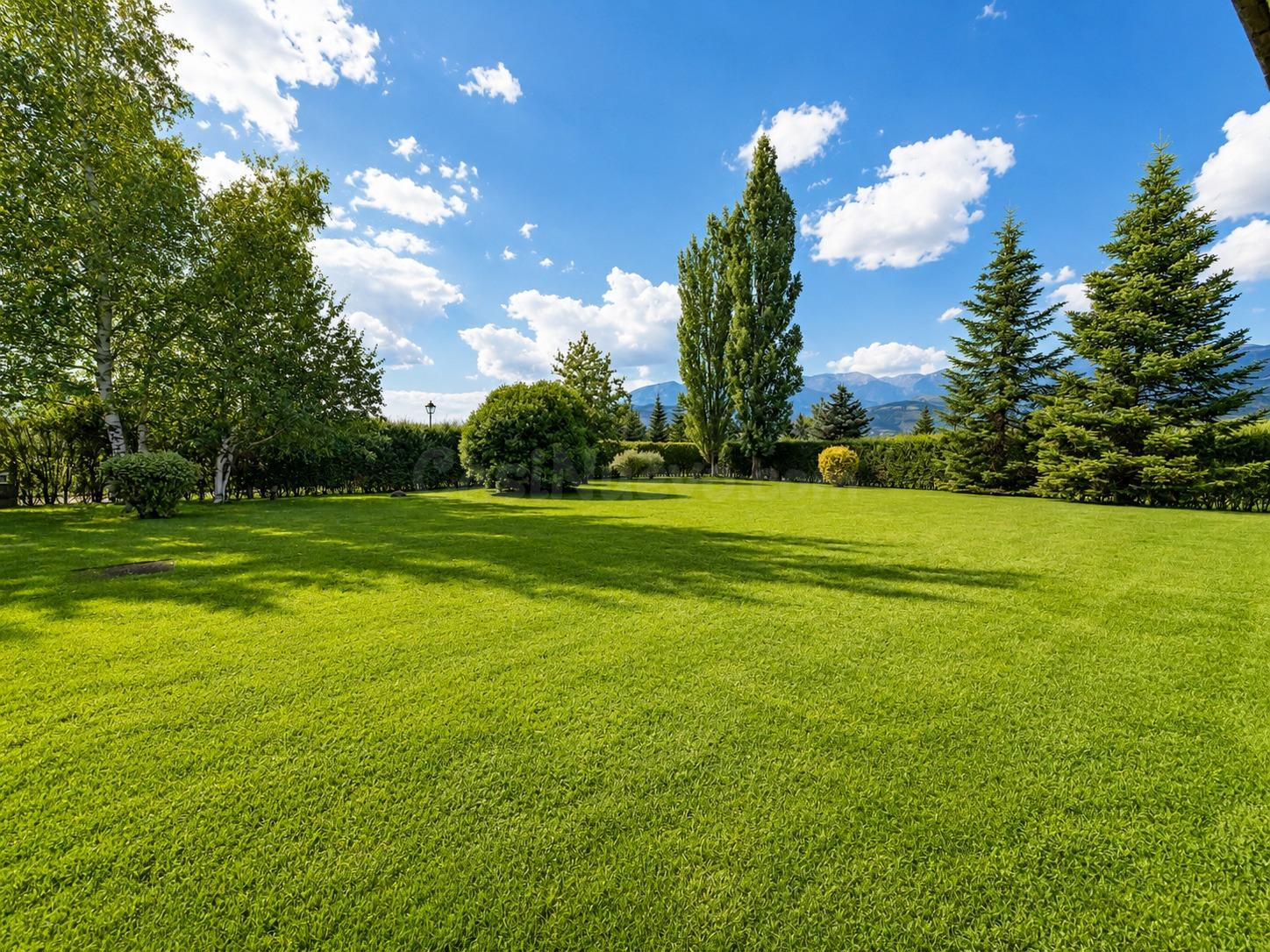 Exclusiva casa con gran jardín en Prats i Sansor - foto 4