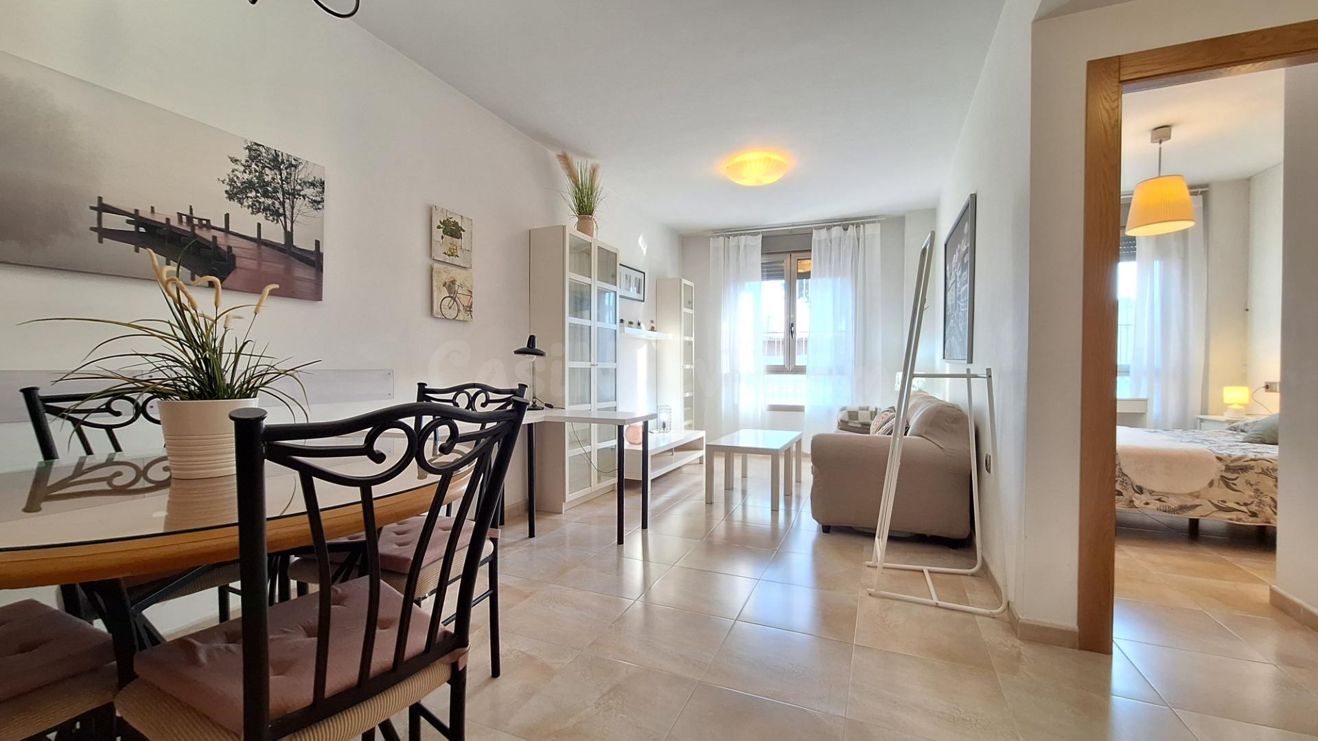 Apartamento de 1 dormitorio en la Calle Senda de Granada