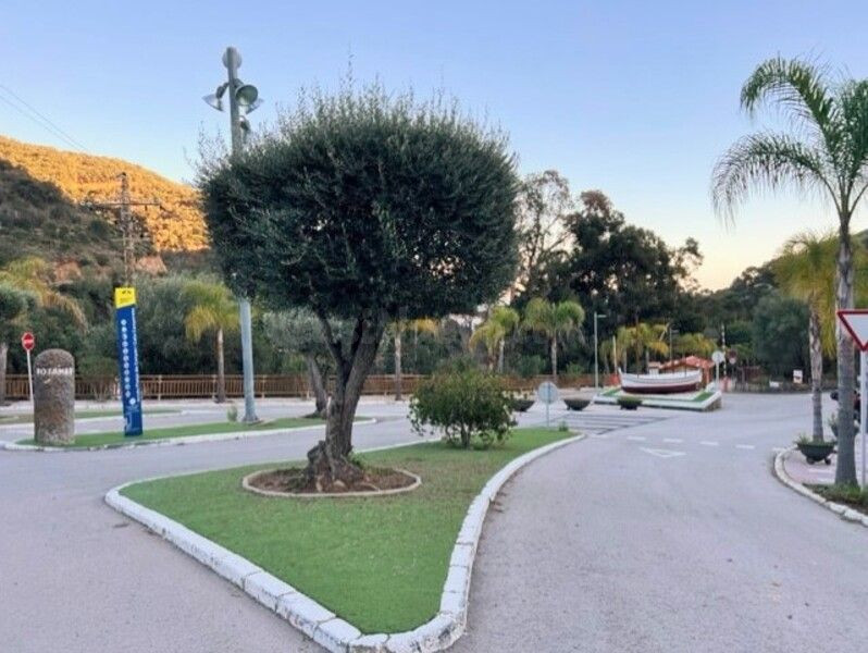 LOTE DE PARCELAS EN ROSAMAR