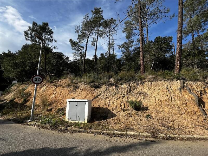 LOTE DE PARCELAS EN ROSAMAR - foto 4