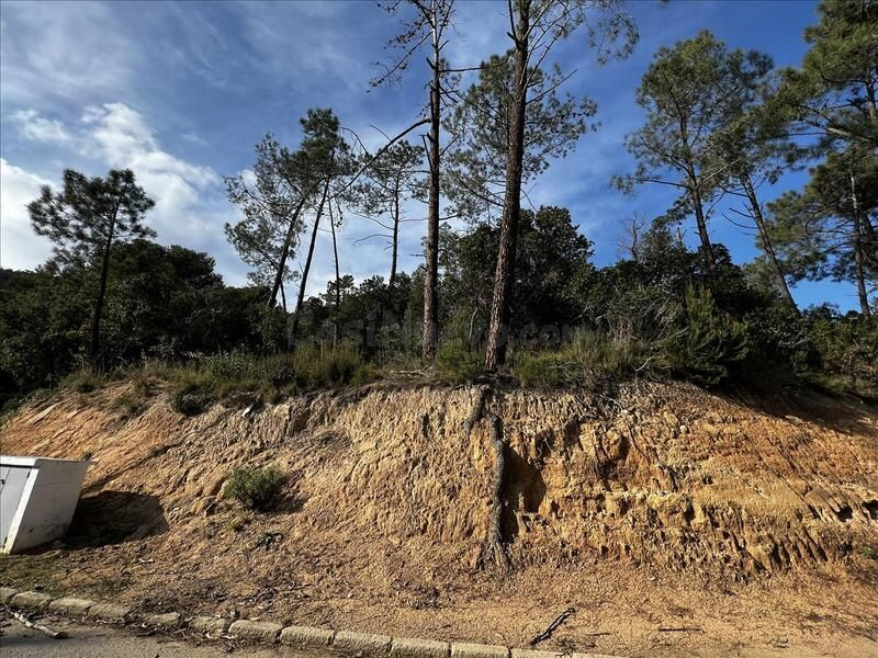 LOTE DE PARCELAS EN ROSAMAR - foto 5