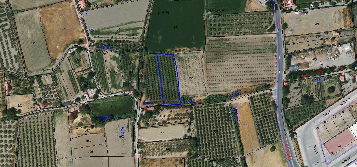 TERRENO RUSTICO A LA VENTA EN LA ZUBIA (GRANADA)