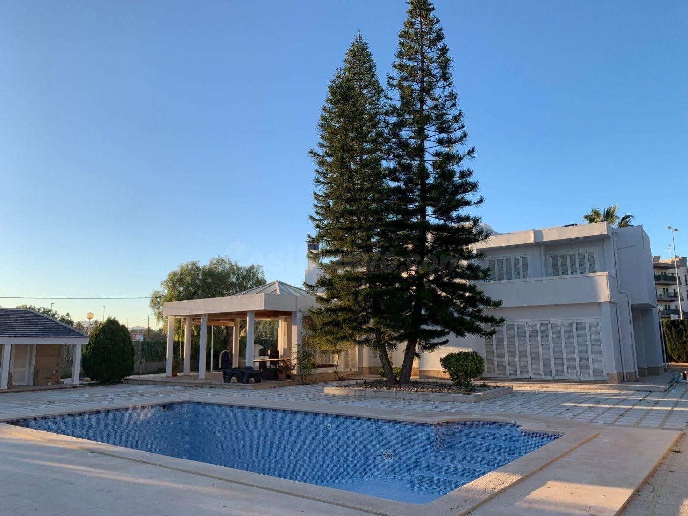 Chalet en Alquiler en Elche, zona Alzabares. - foto 3
