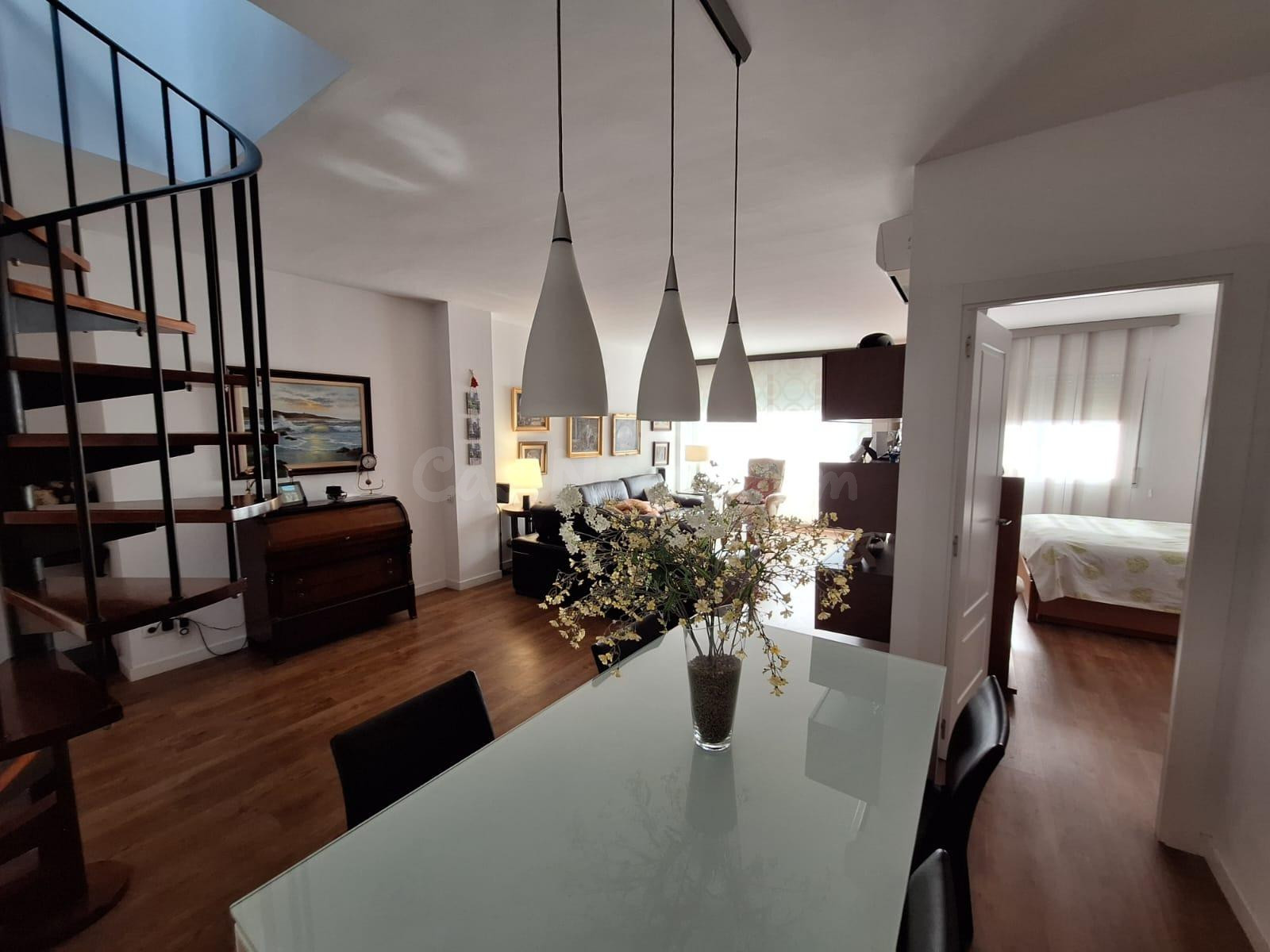 ATICO CENTRICO  EN PLANTA CON TERRAZA EN DUPLEX, TRASTERO Y PISCINA - foto 5