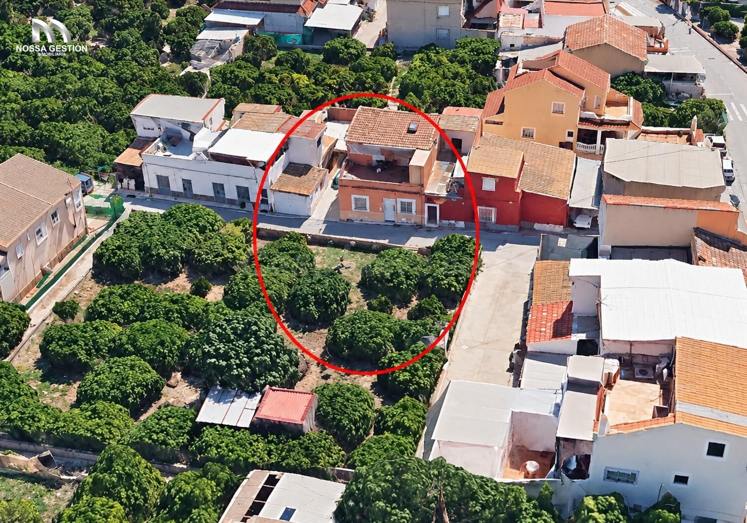 🏡 ¡OPORTUNIDAD ÚNICA - CASA RÚSTICA  EN CABEZO DE TORRES, MU - foto 5
