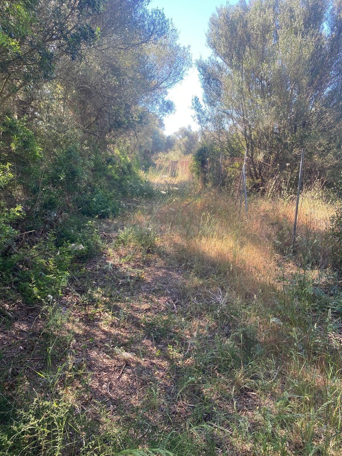 FINCA RUSTICA EDIFICABLE EN FELANITX