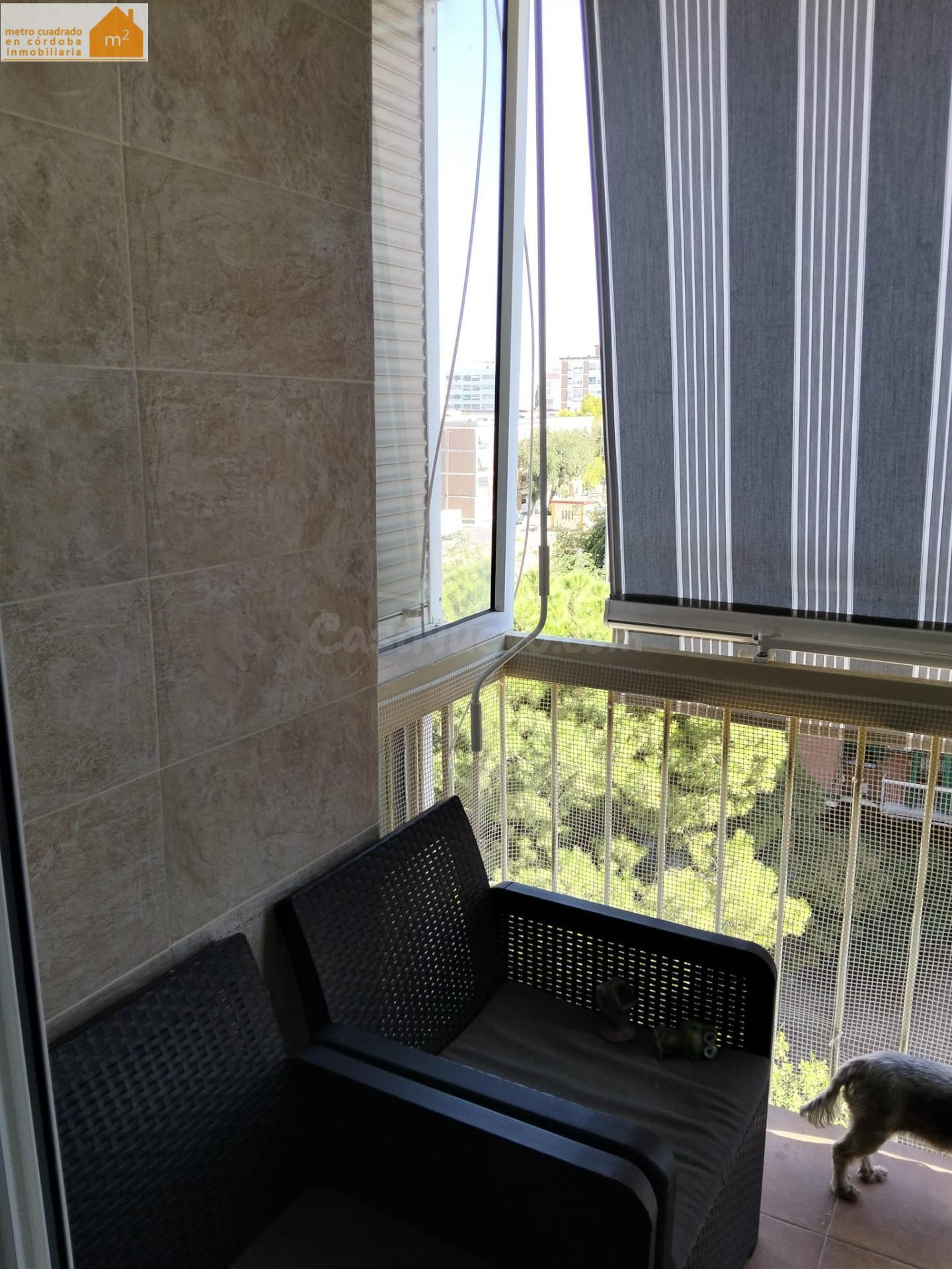 A. JUNTO A  PLAZA DE LA JUVENTUD ¡¡ MAGNIFICO PISO TOTALMENTE REFORMADO !! ¡¡¡ TERRAZA Y ASCENSOR !!! - foto 3