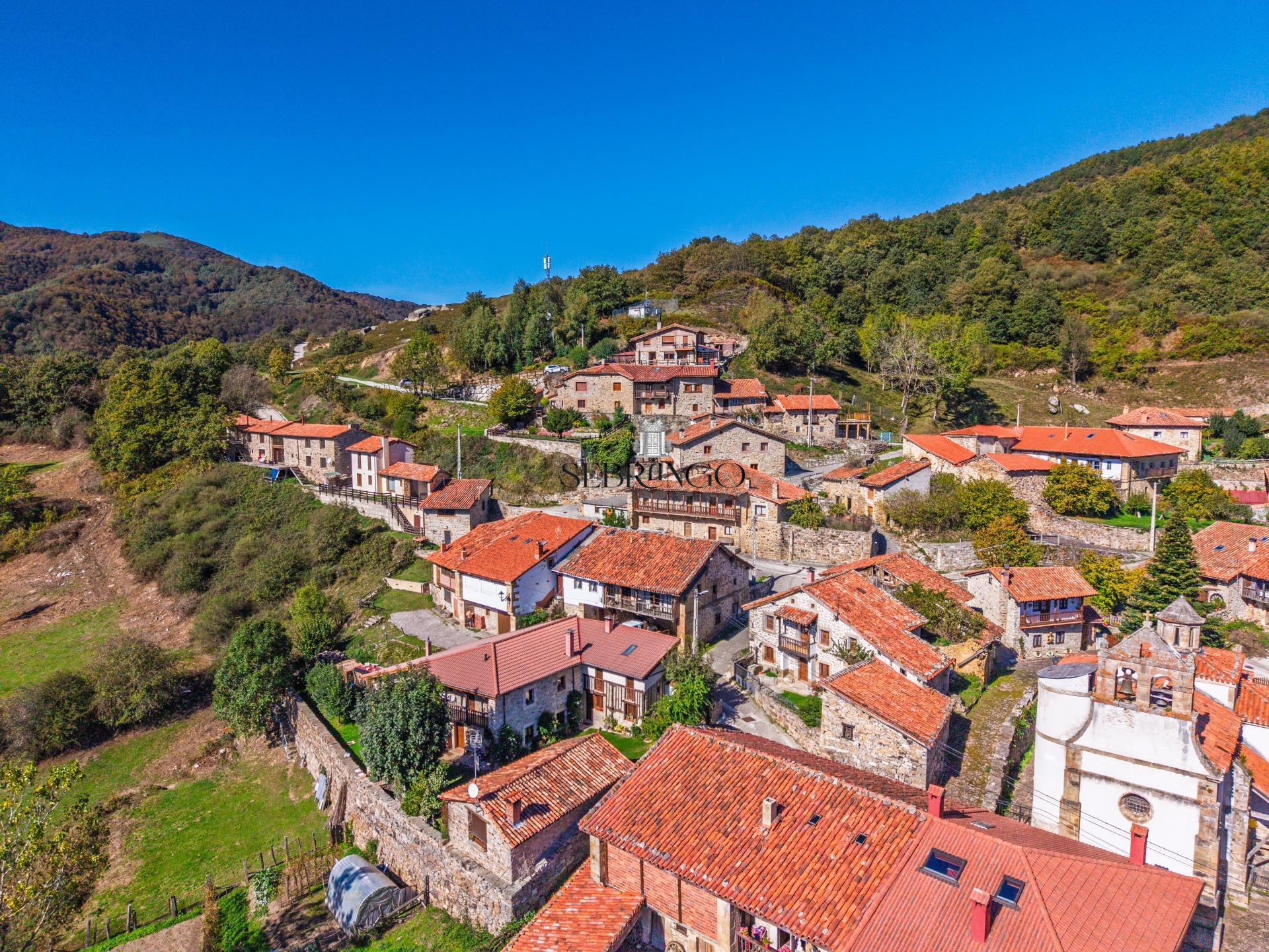 ¡UNA CASA EN EL CORAZÓN DE POLACIONES, UN PROYECTO POR DESCU - foto 2