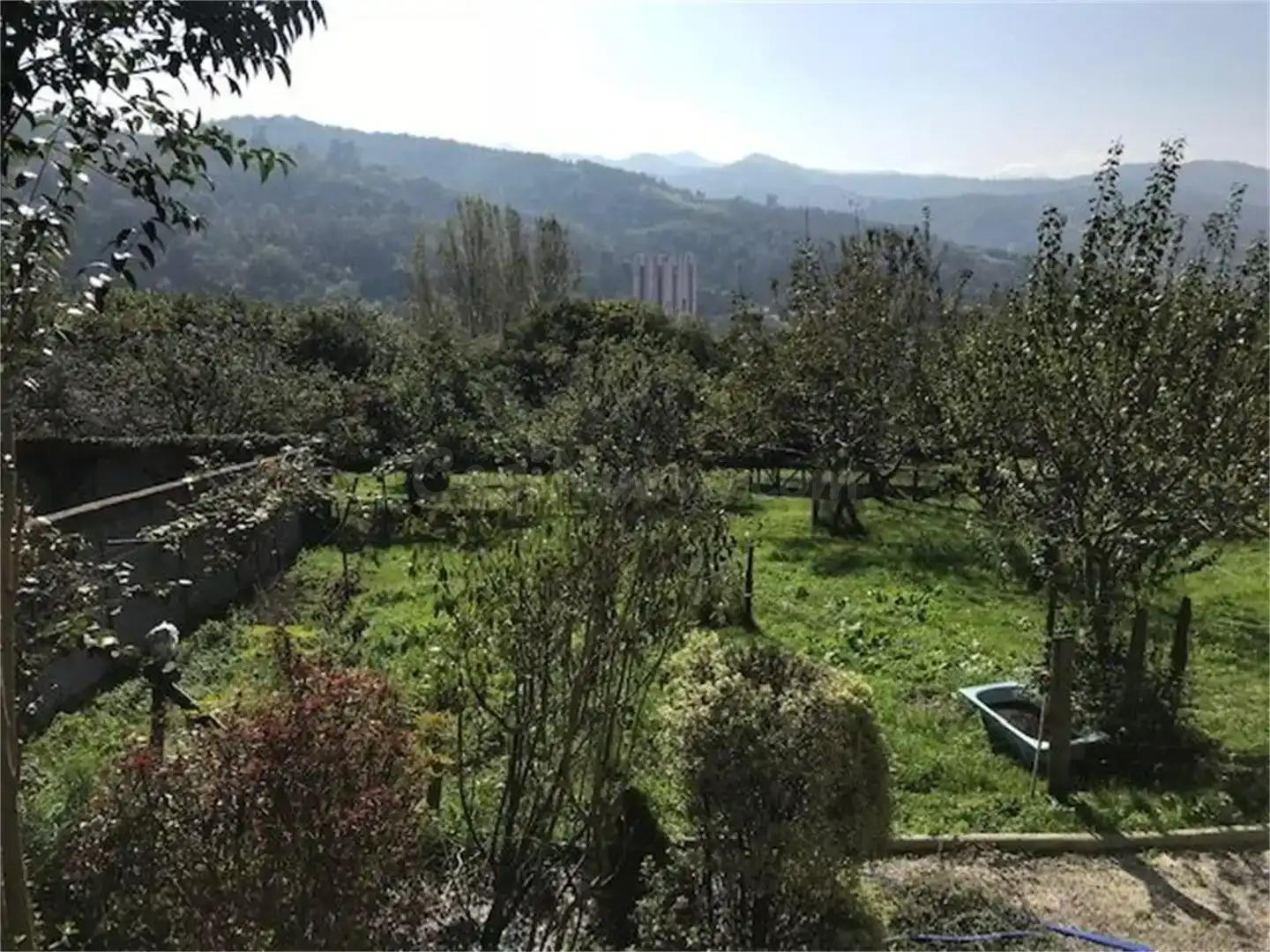 Encanto asturiano: casa con hórreo, cochera y finca edificable en Pando, Langreo
