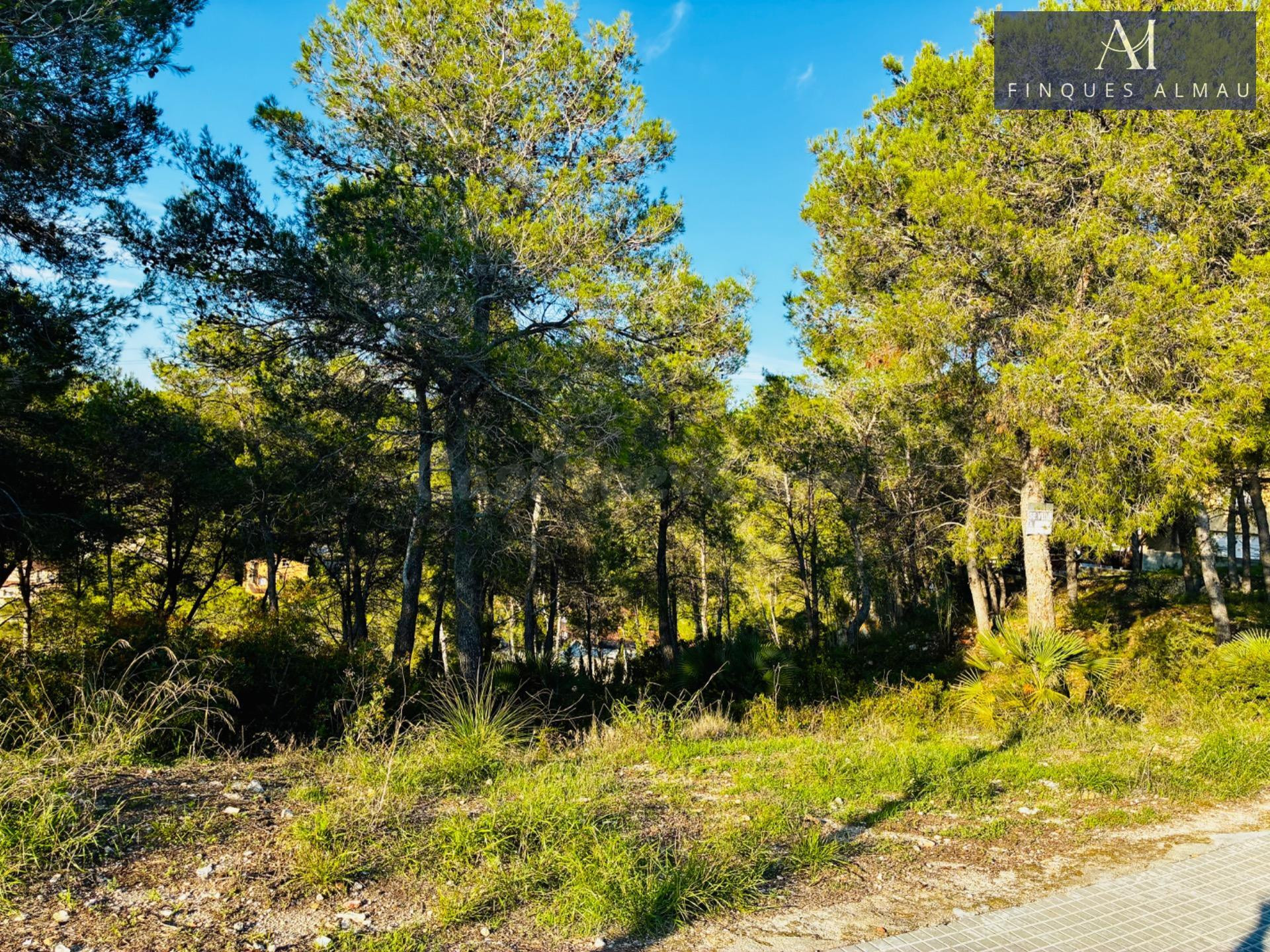 Terreno urbanizable de 655 m2 en la Avenida California de Canyelles, la oportunidad perfecta para construir tu casa ideal.