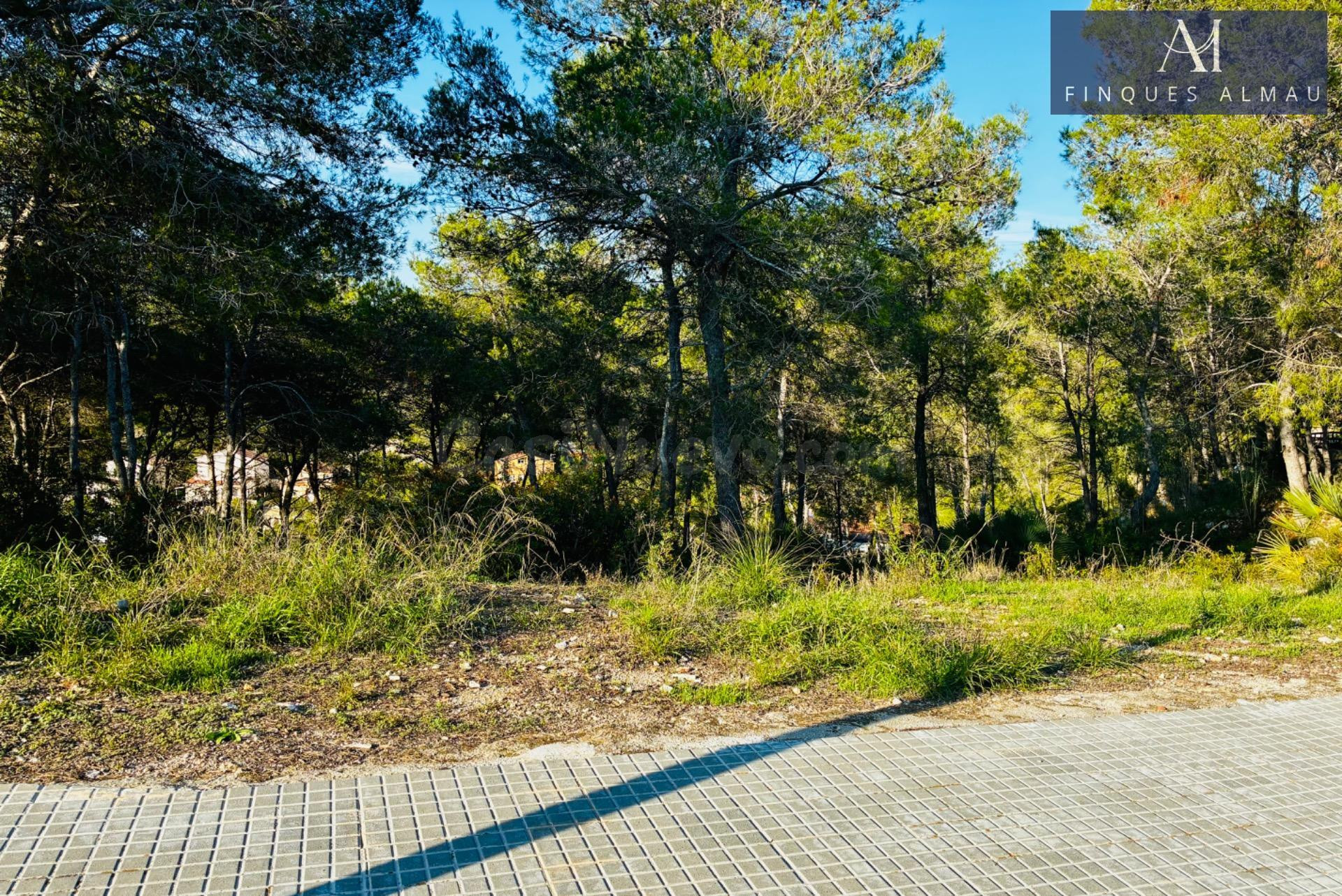 Terreno urbanizable de 655 m2 en la Avenida California de Canyelles, la oportunidad perfecta para construir tu casa ideal. - foto 3
