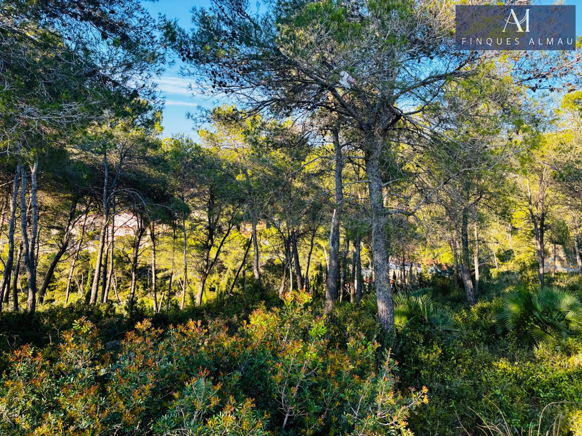 Terreno urbanizable de 655 m2 en la Avenida California de Canyelles, la oportunidad perfecta para construir tu casa ideal. - foto 4