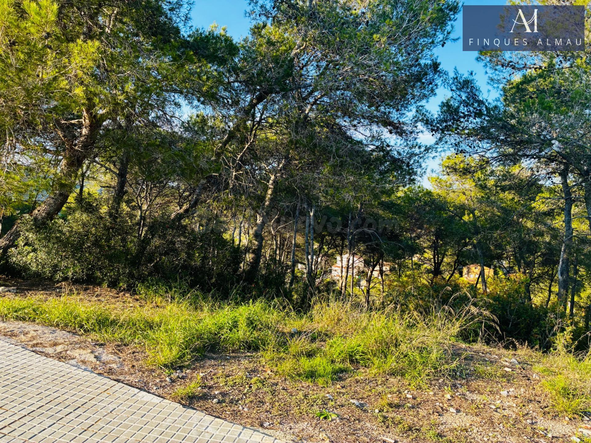 Terreno urbanizable de 655 m2 en la Avenida California de Canyelles, la oportunidad perfecta para construir tu casa ideal. - foto 5
