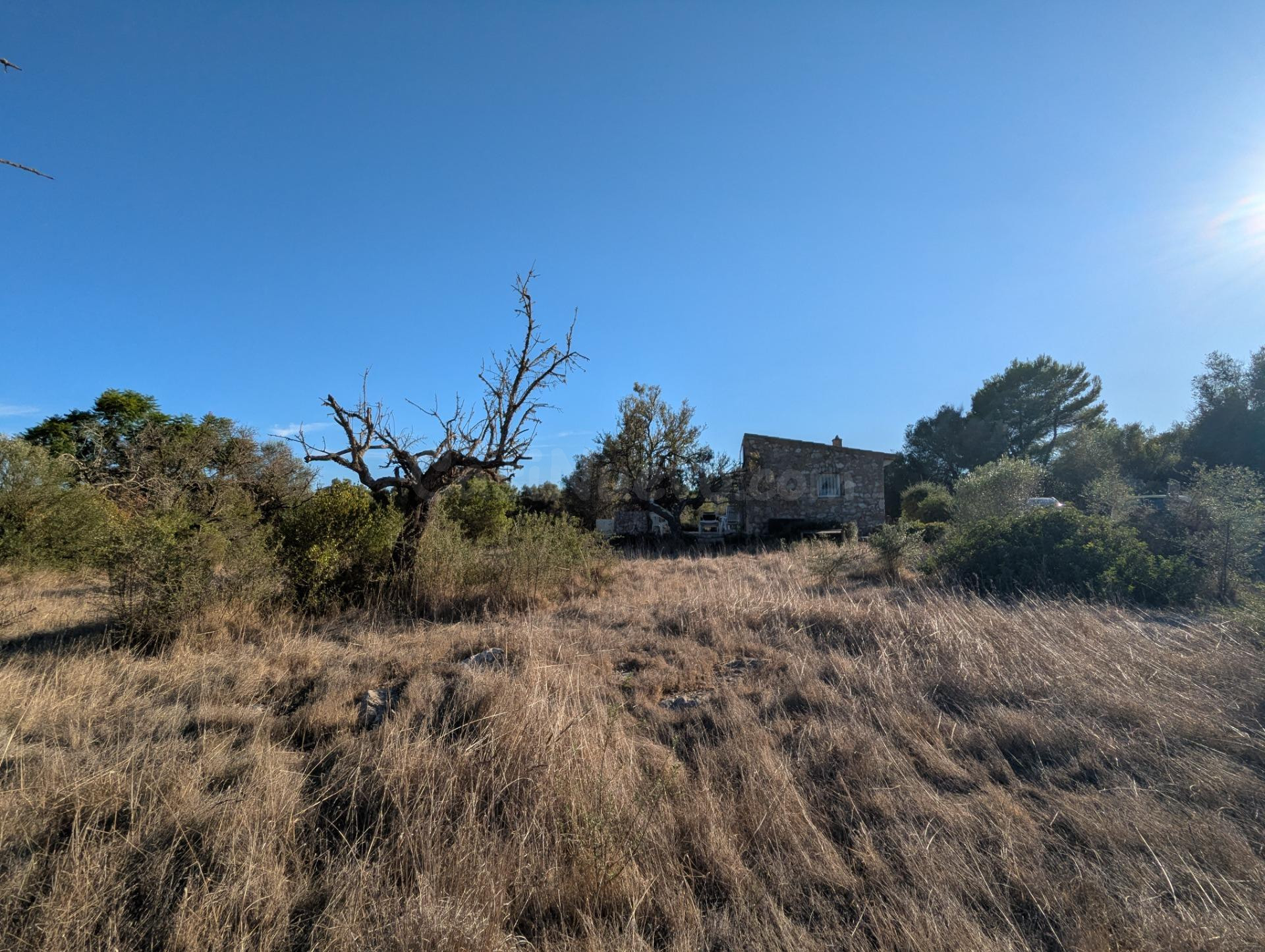 Terreno tranquilo con edificación de piedra cerca de Artà