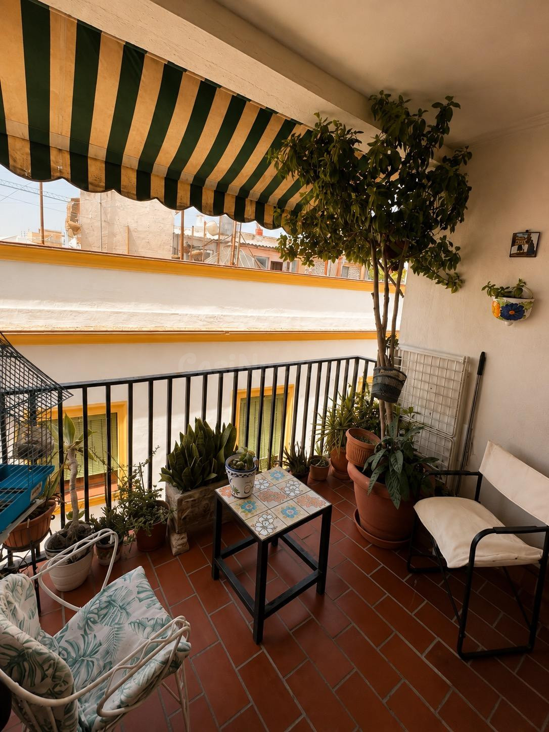 AMPLIA VIVIENDA EN ZONA CATEDRAL – JEREZ DE LA FRONTERA - foto 5