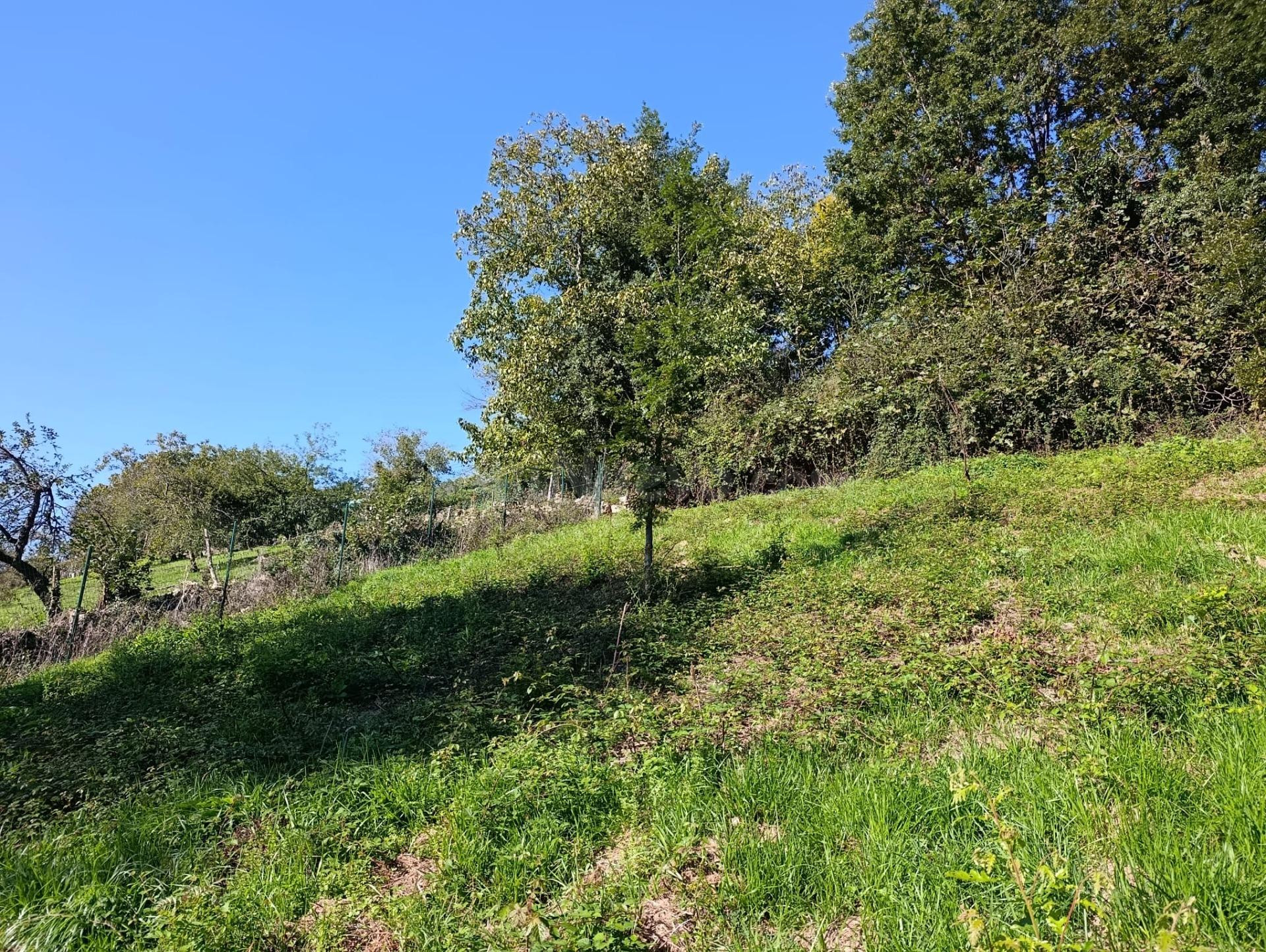 Terreno urbano en venta - Trubia - foto 5