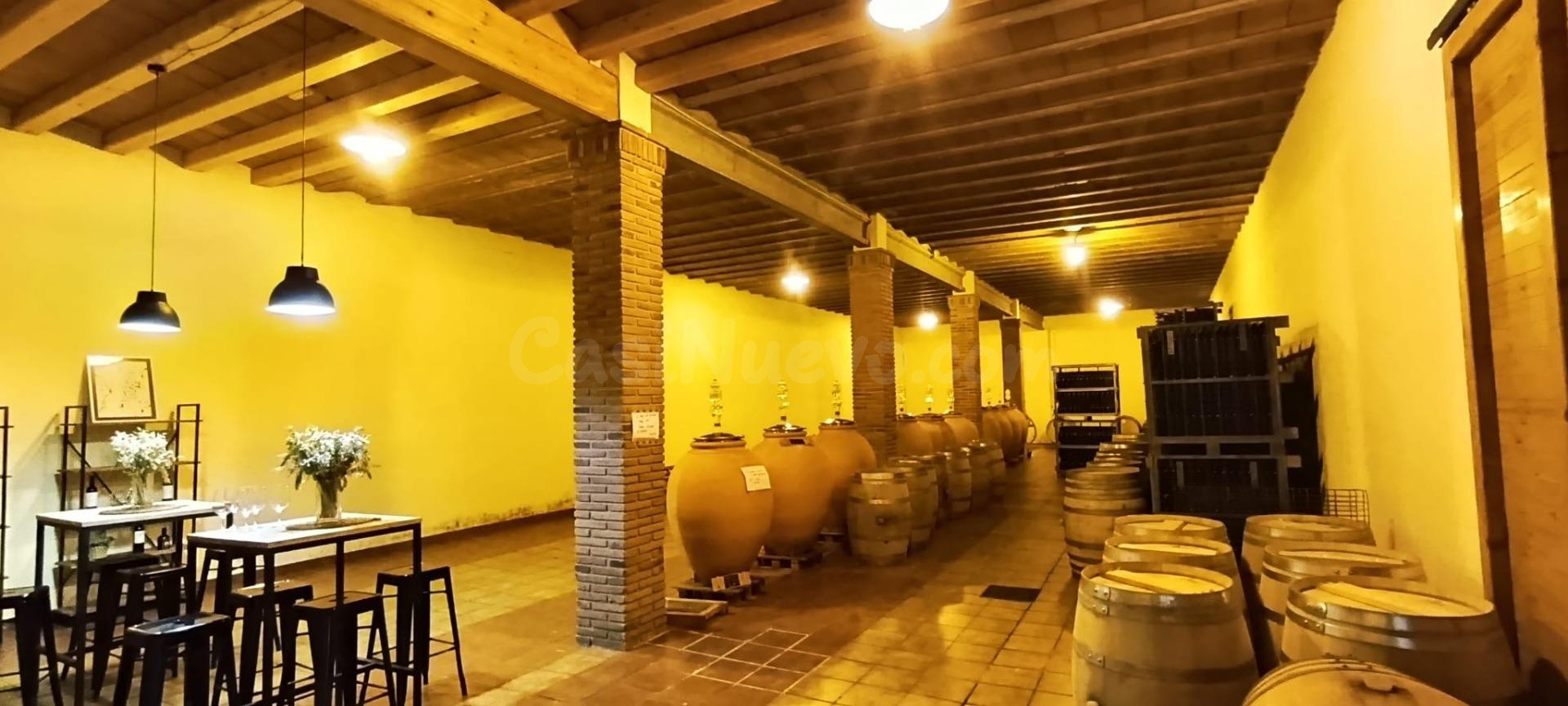 Exclusiva Bodega en Venta en el Corazón del Priorat – Producción Ecológica de Alto nivel | 82 ha de Finca con Masía y Viñedos