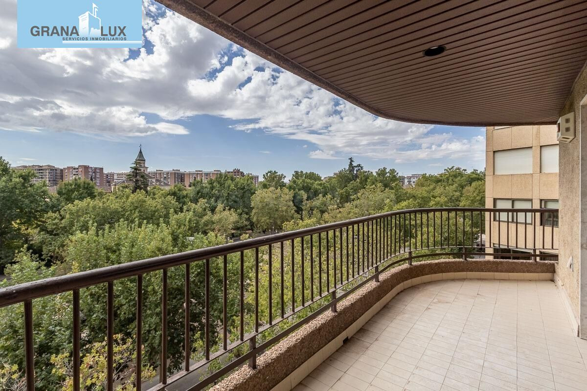 PISAZO EN PASEO DEL SALÓN - GRANADA