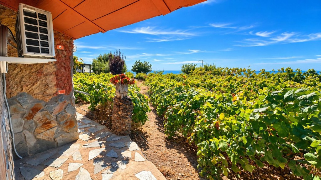 FINCA EXCLUSIVA EN VILAFLOR · 2 VIVIENDAS, VIÑEDO, BODEGA Y PISCINA - foto 2