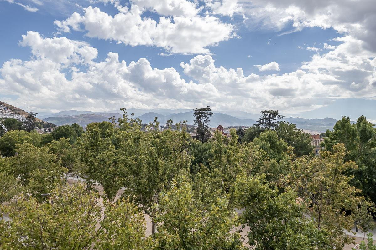 PISAZO EN PASEO DEL SALÓN - GRANADA