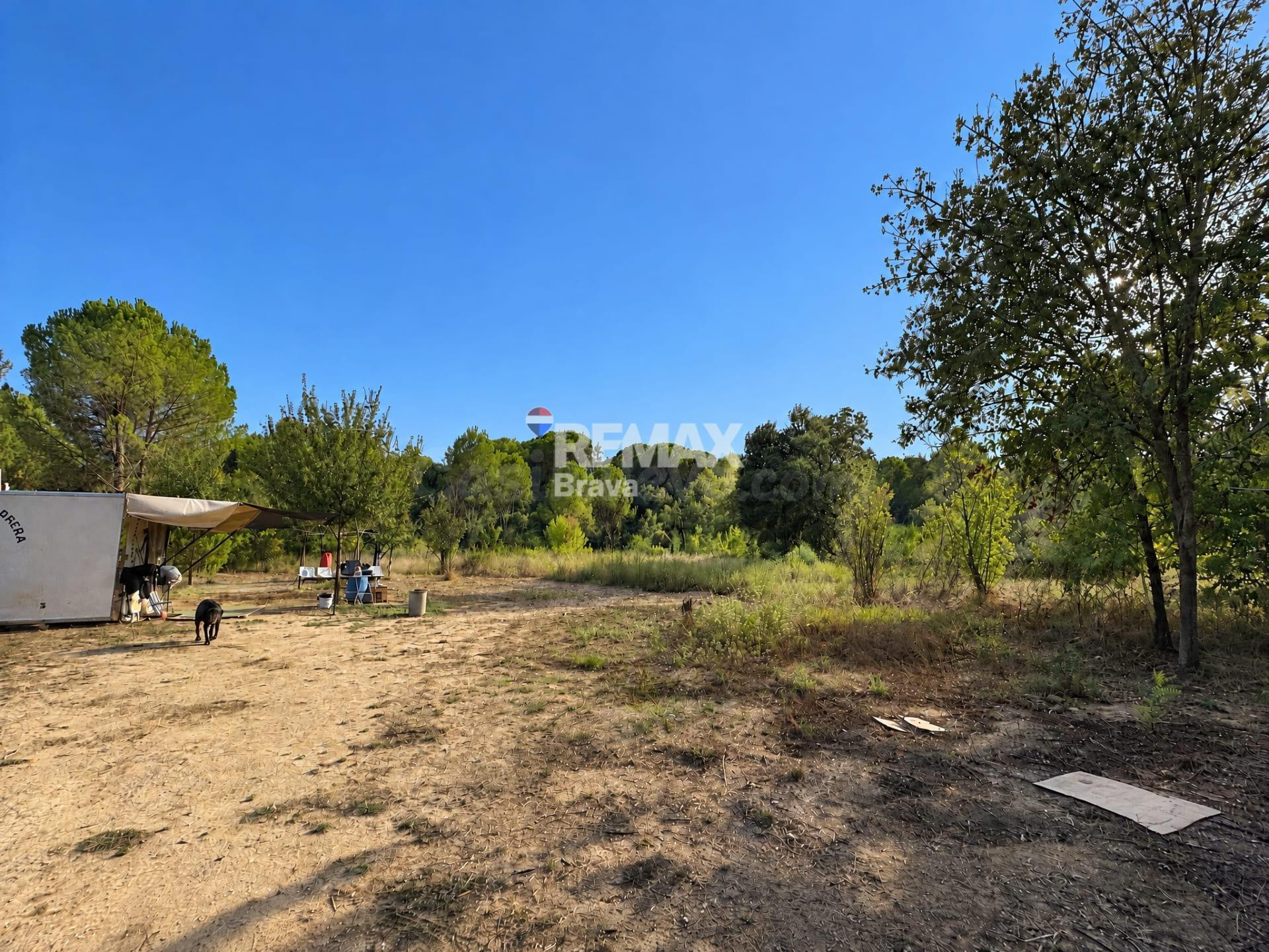 Sarrià de Ter (Girona) | Masía tradicional catalana para rehabilitar con finca rústica de 7.878 m2 - foto 5