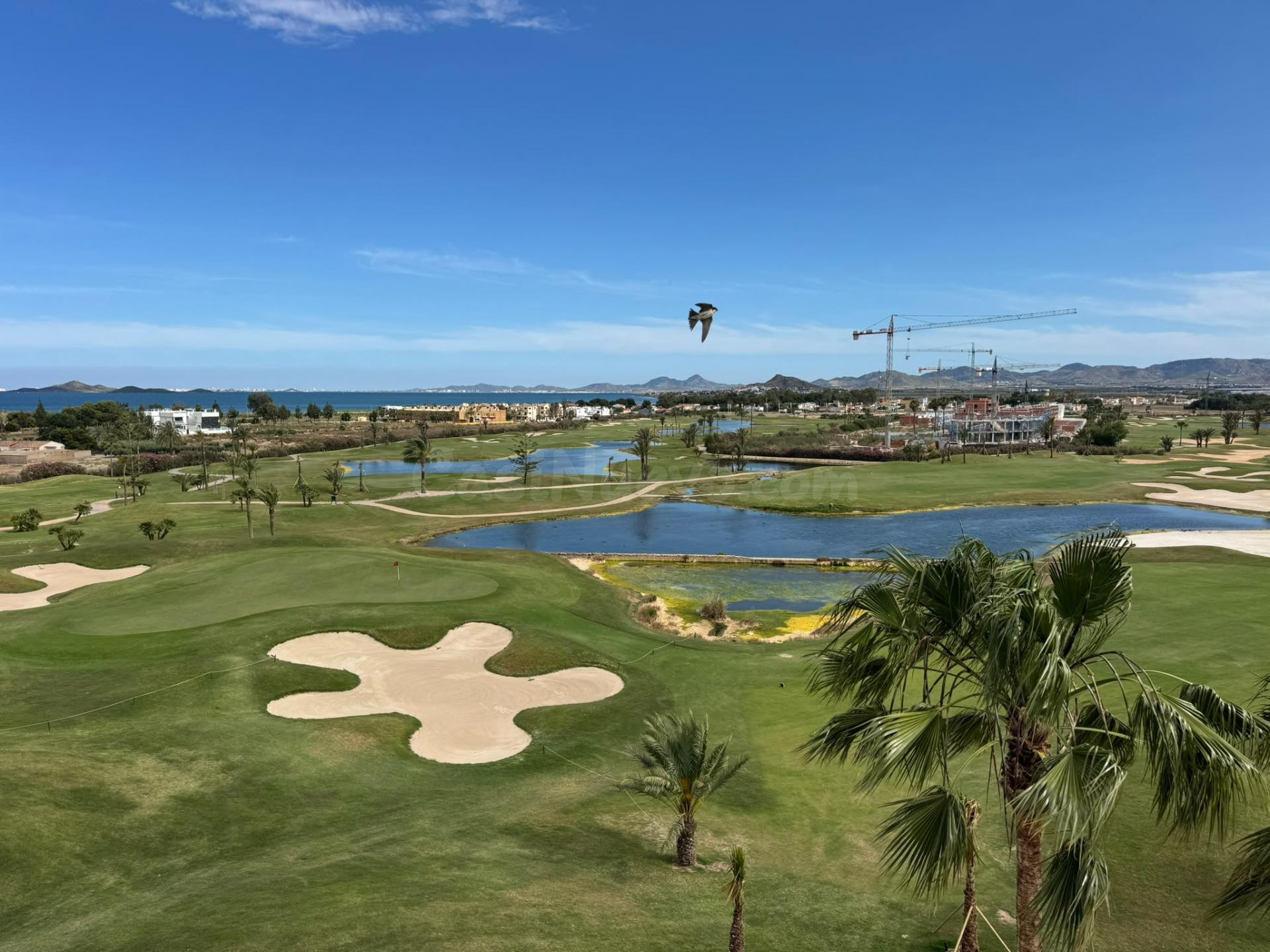 Apartamento   en Serena Golf: Terraza, Patio Privado y Ocio en un Entorno Exclusivo - foto 4