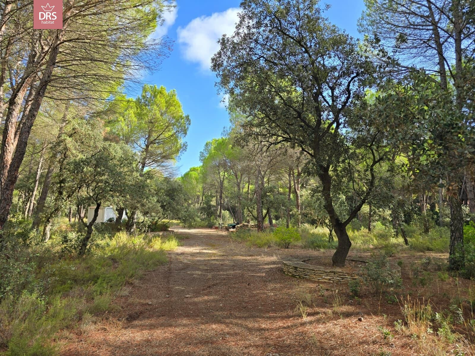 TERRENO EN URB PINARES DEL JUCAR