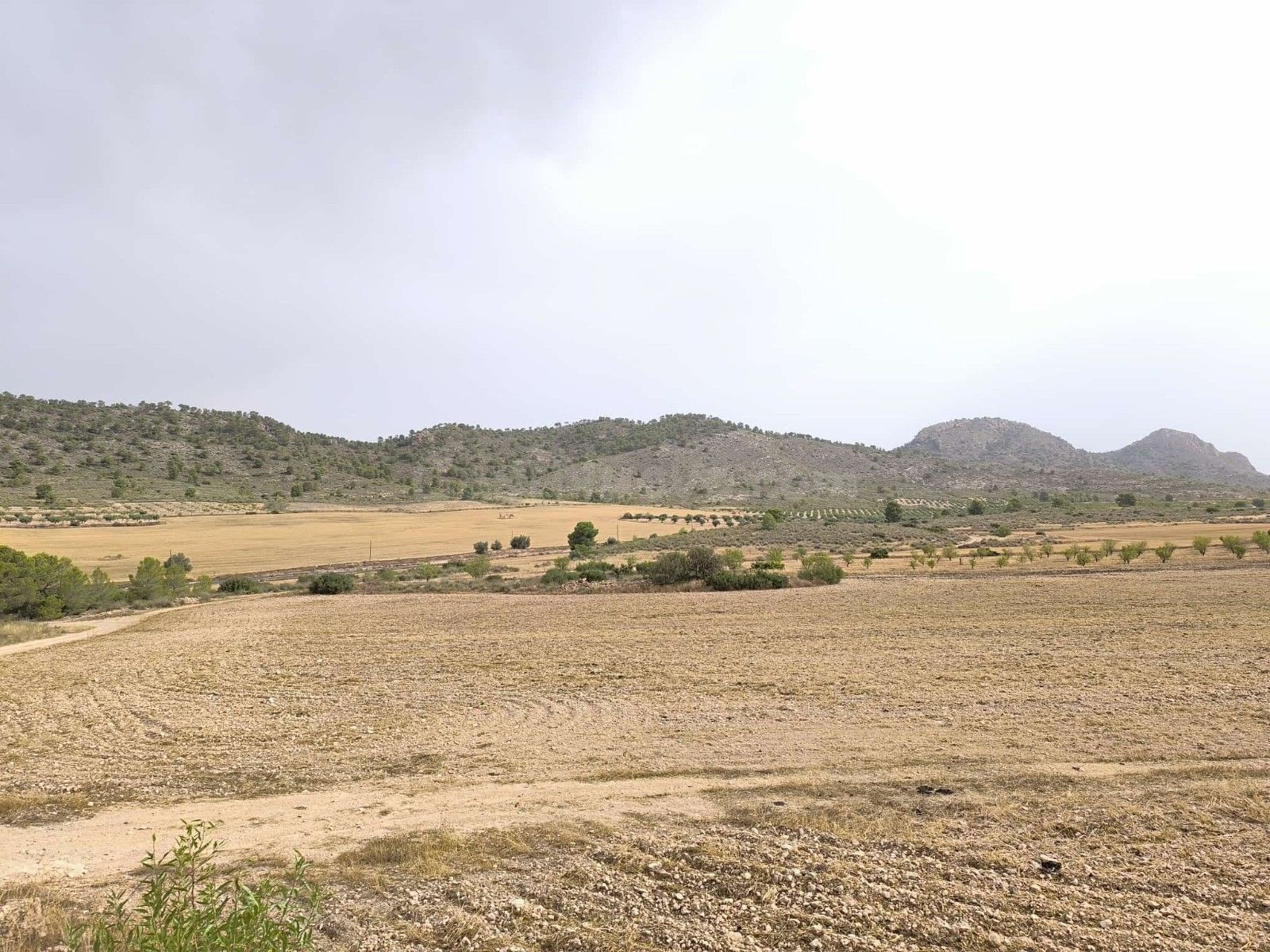 Parcela 200m² en venta - Ayuntamiento
