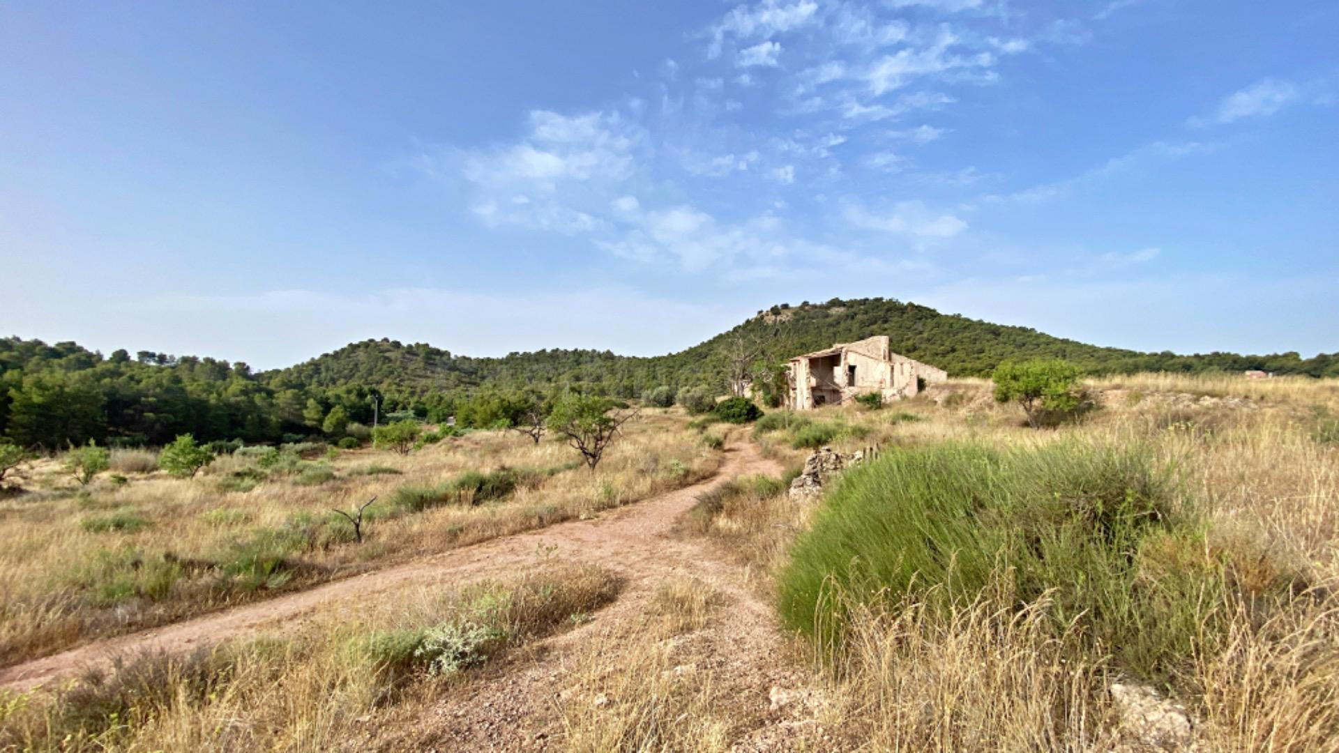 FINCA DE 6 Hectáreas con CASA CORTIJO para reformar - foto 3