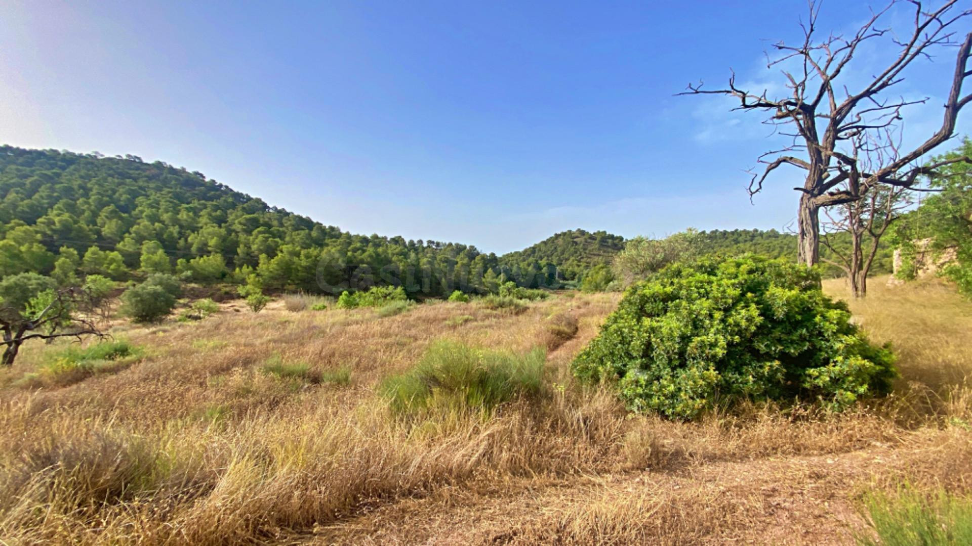 FINCA DE 6 Hectáreas con CASA CORTIJO para reformar - foto 4