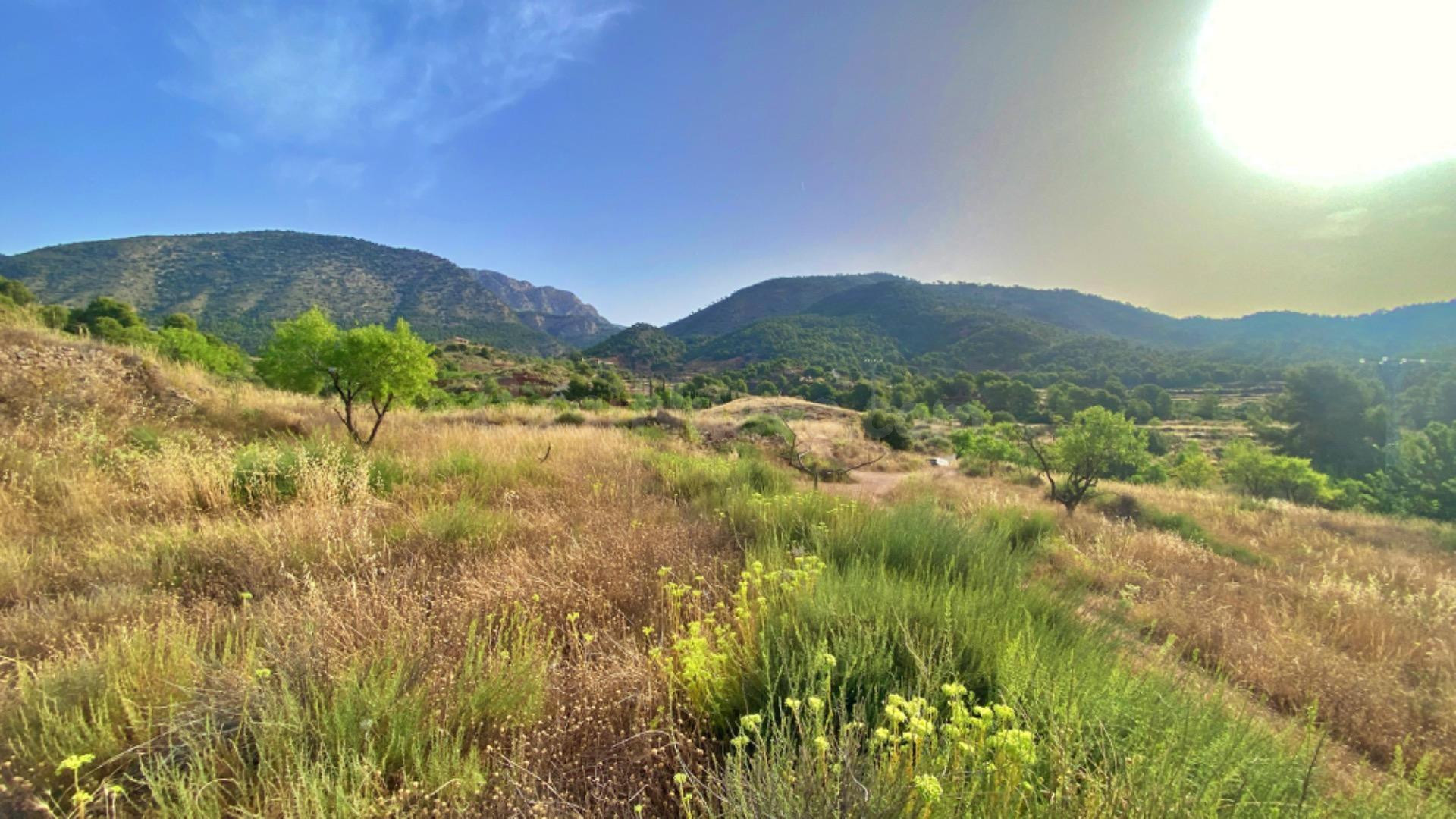 FINCA DE 6 Hectáreas con CASA CORTIJO para reformar - foto 5