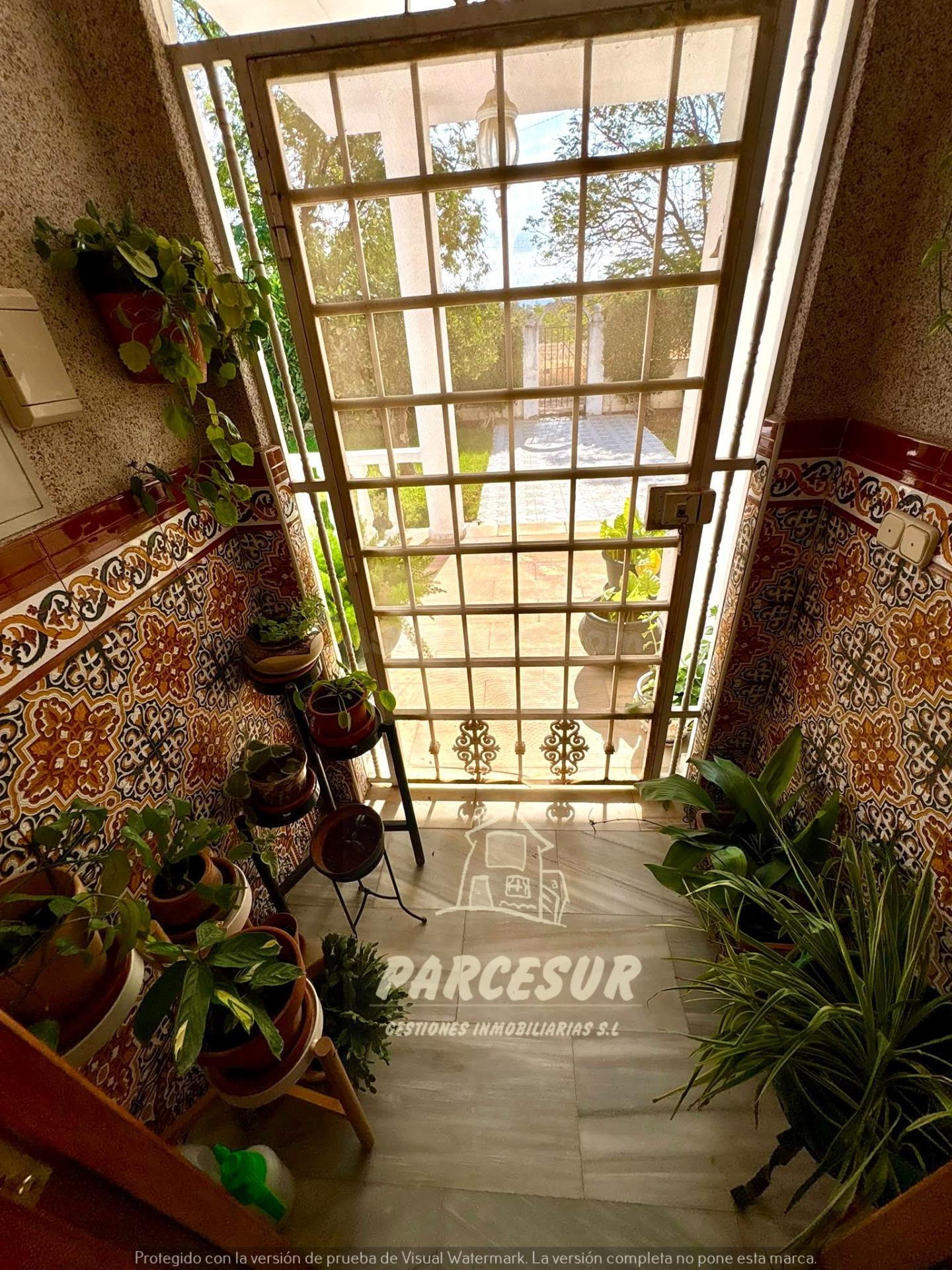 Chalet independiente en El Alcaide: espacio, comodidad y vid - foto 5