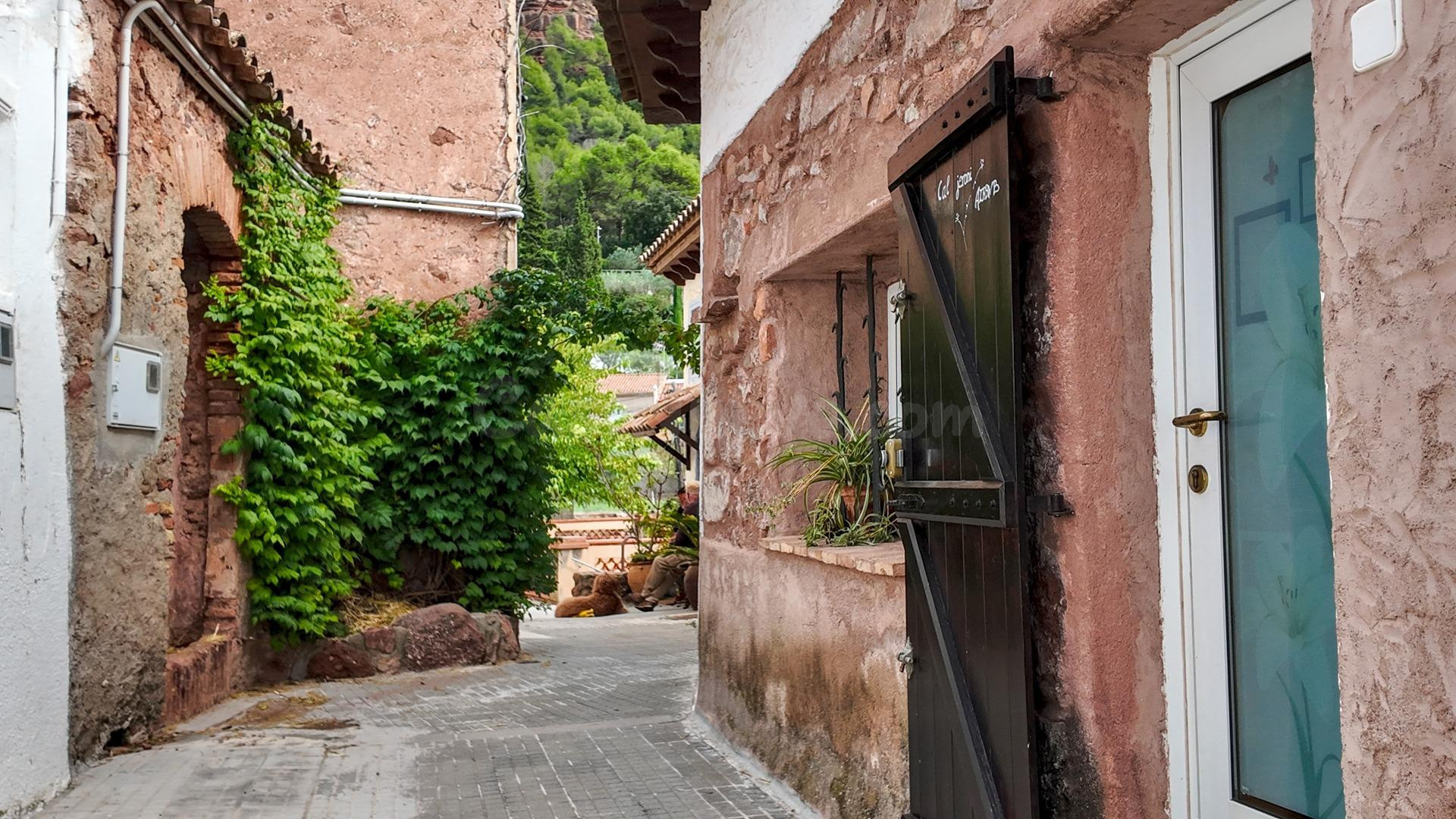 Terraza, balcón y estancias espaciosas integradas en la tranquilidad de Vacarisses - foto 3