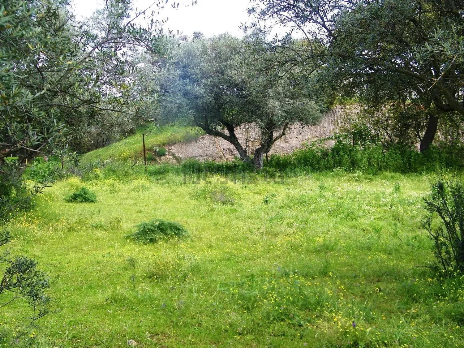 Solar urbano de 5.347 m2 para 16 chalets junto al Pantano de Valdecañas - foto 2