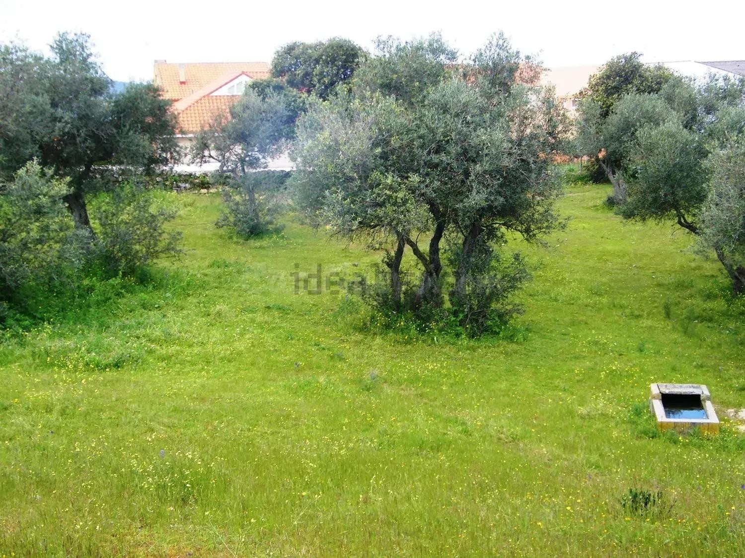 Solar urbano de 5.347 m2 para 16 chalets junto al Pantano de Valdecañas - foto 3