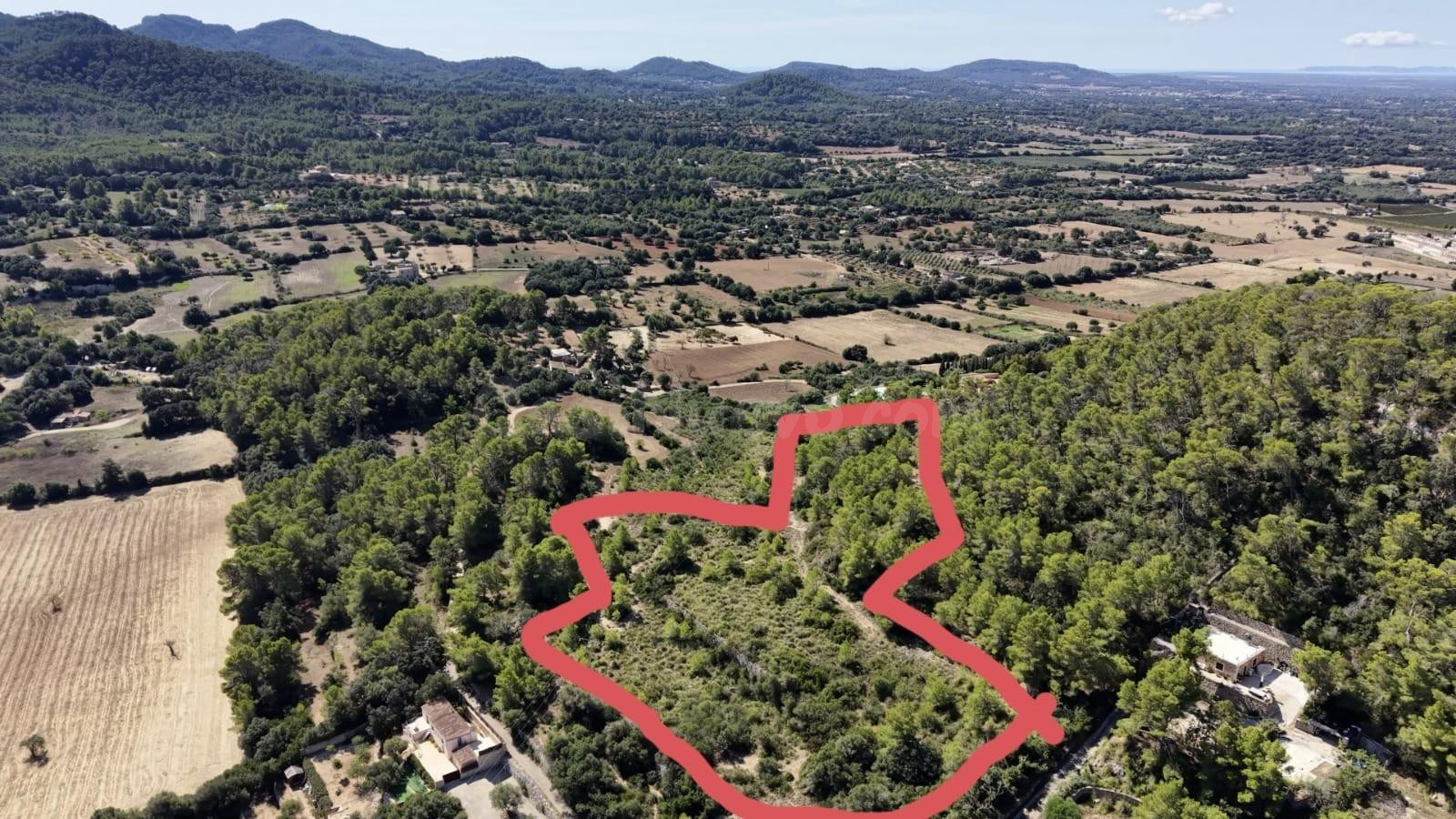 TERRENO RÚSTICO DE 10.000M2 EN SON QUETLLES, FELANITX - foto 3
