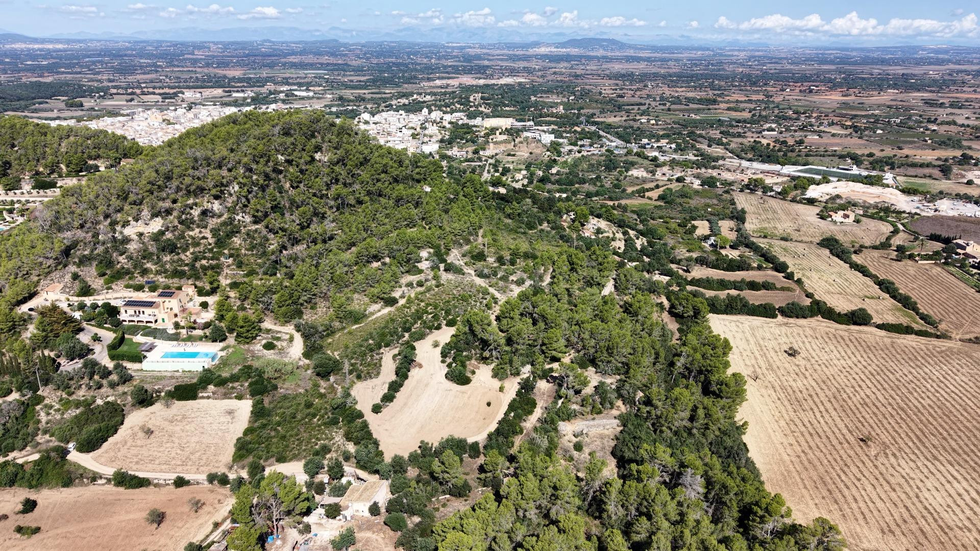 TERRENO RÚSTICO DE 10.000M2 EN SON QUETLLES, FELANITX - foto 5