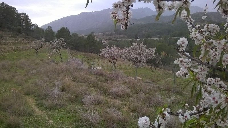 Parcela 300m² en venta - Benissa pueblo