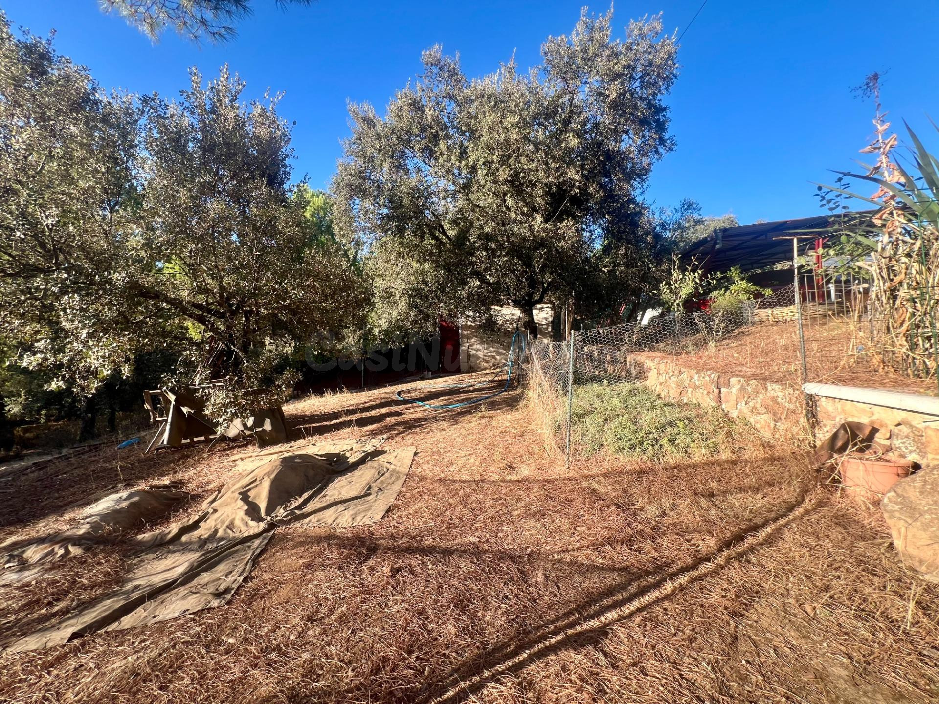 ESPECTACULAR FINCA EN VILLAVICIOSA DE CÓRDOBA – EN PLENO COR - foto 4