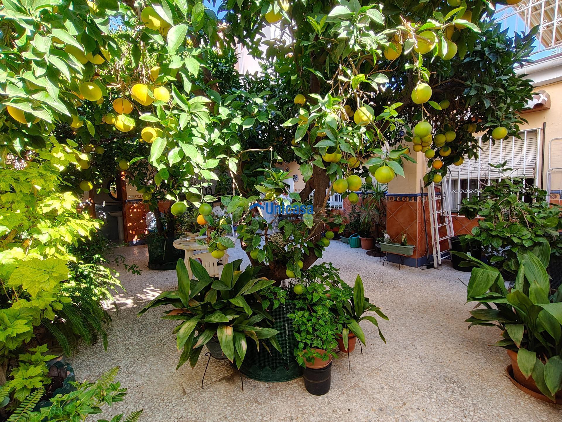 CASA MATA EN UNA SOLA PLANTA CON AMPLIO GARAJE Y PRECIOSO PA