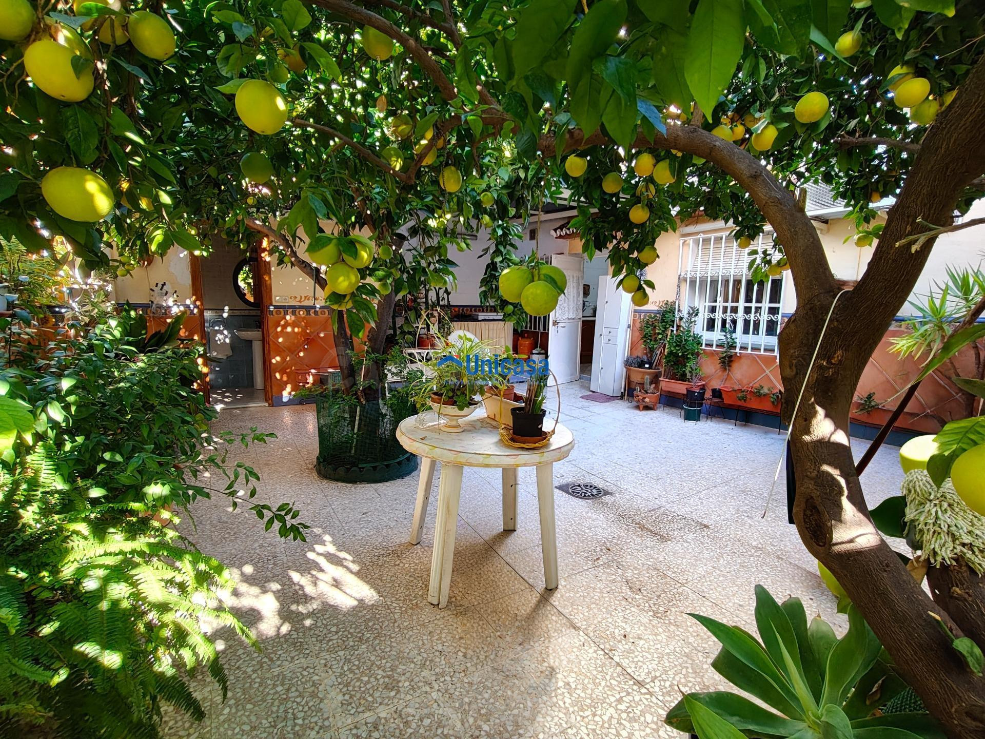 CASA MATA EN UNA SOLA PLANTA CON AMPLIO GARAJE Y PRECIOSO PA - foto 2