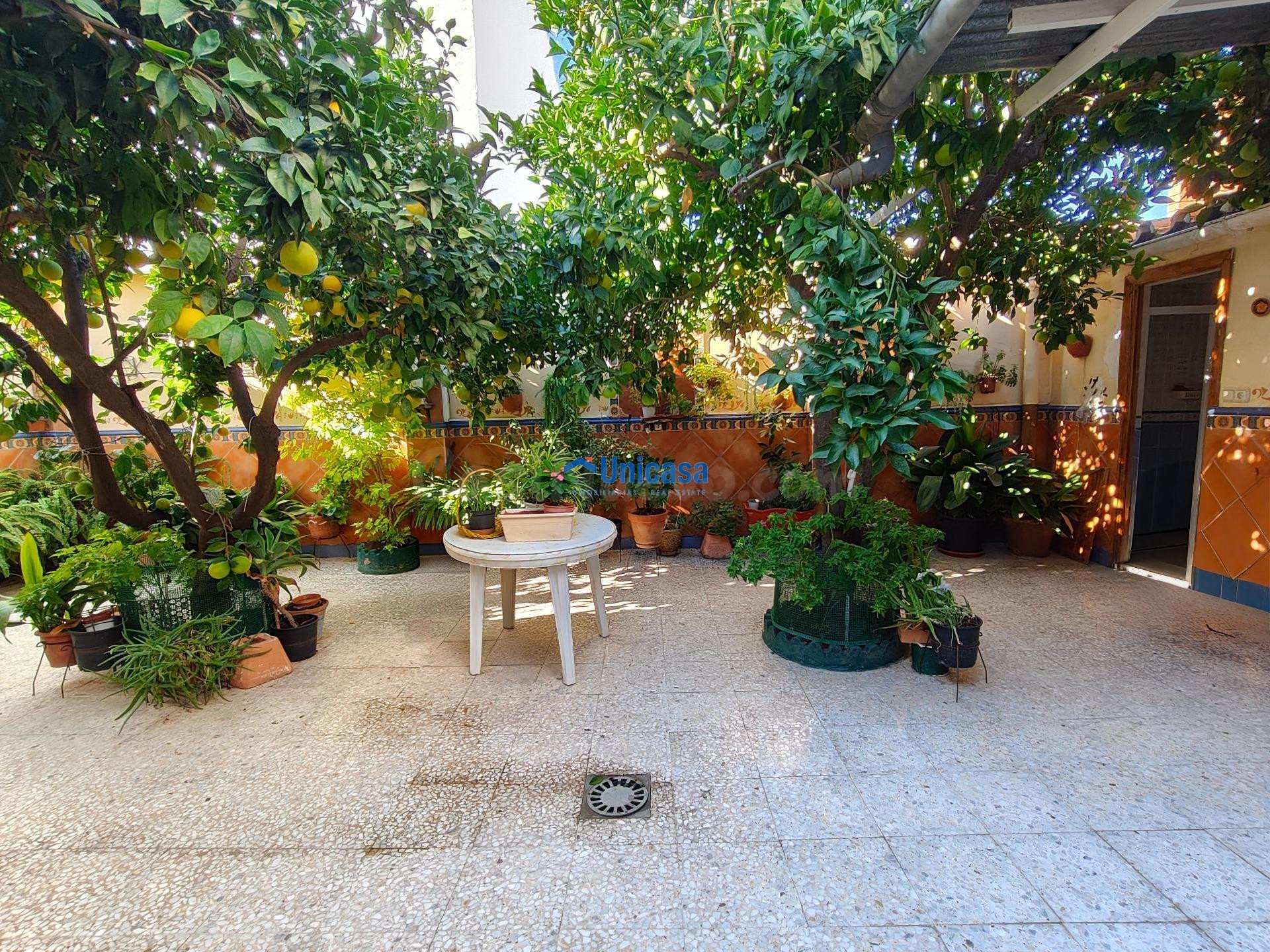 CASA MATA EN UNA SOLA PLANTA CON AMPLIO GARAJE Y PRECIOSO PA - foto 3