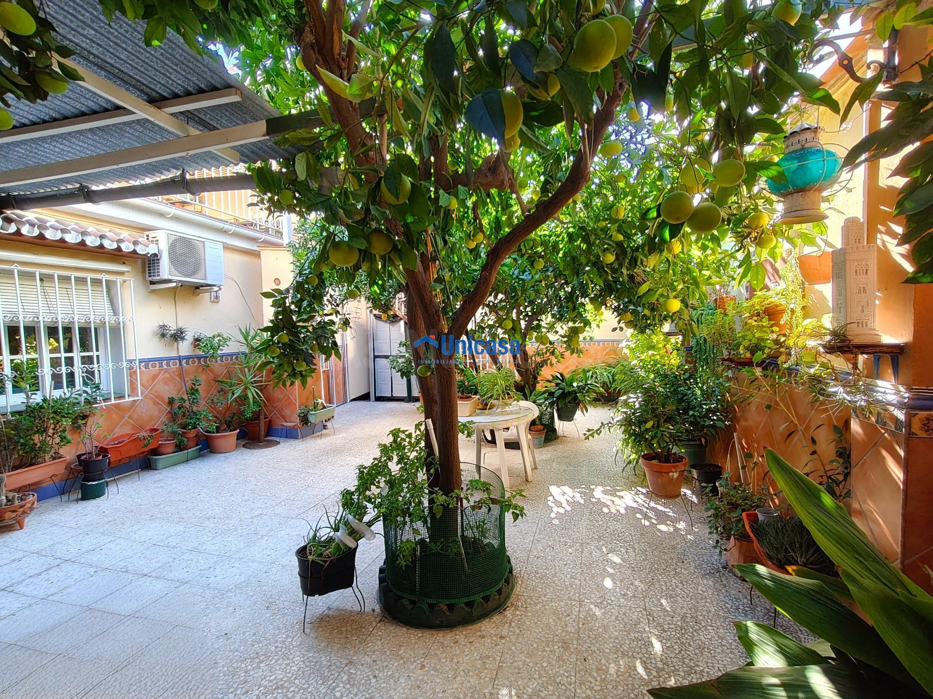 CASA MATA EN UNA SOLA PLANTA CON AMPLIO GARAJE Y PRECIOSO PA - foto 5
