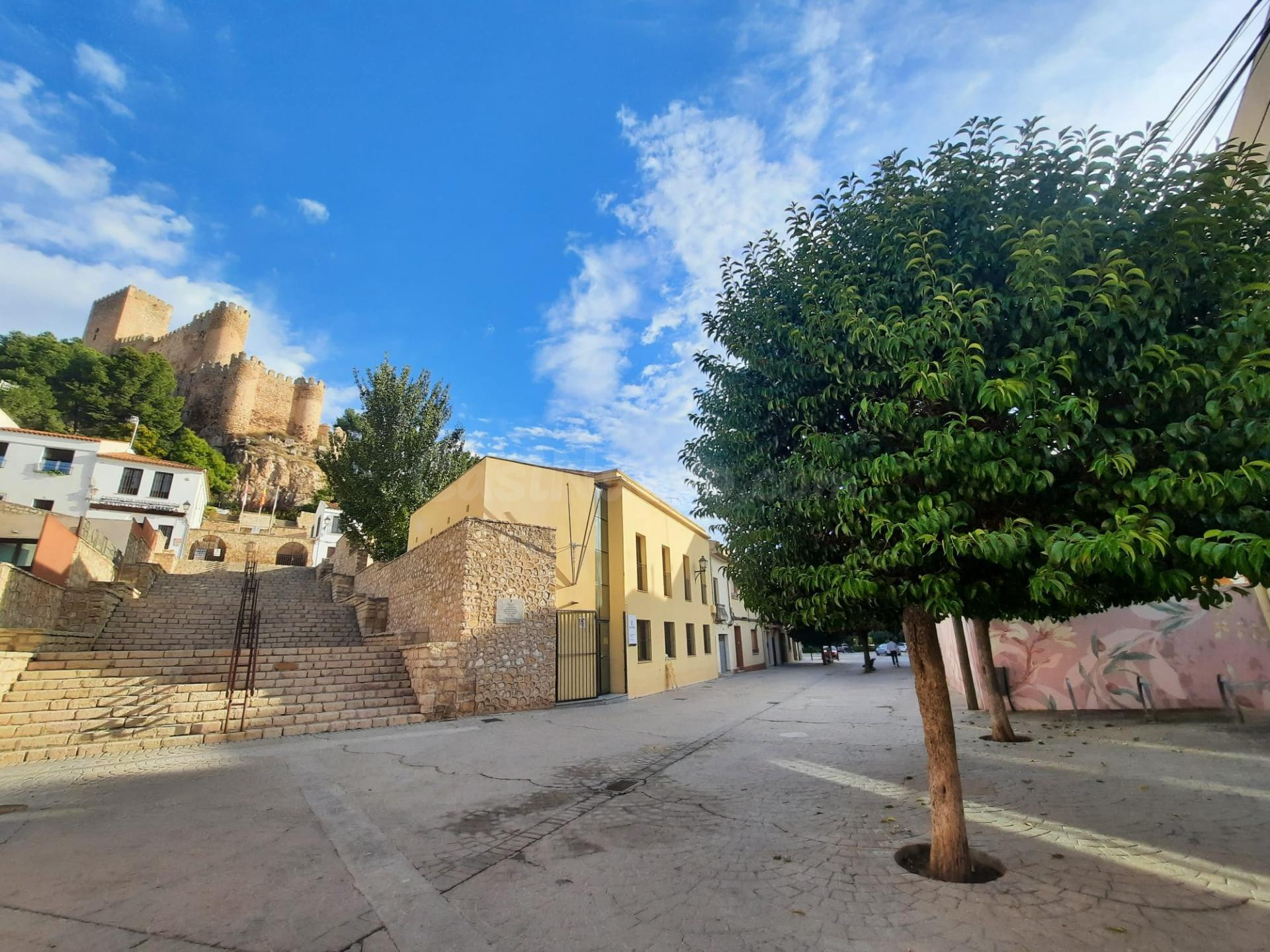 SOLAR JUNTO AL CASTILLO DE ALMANSA